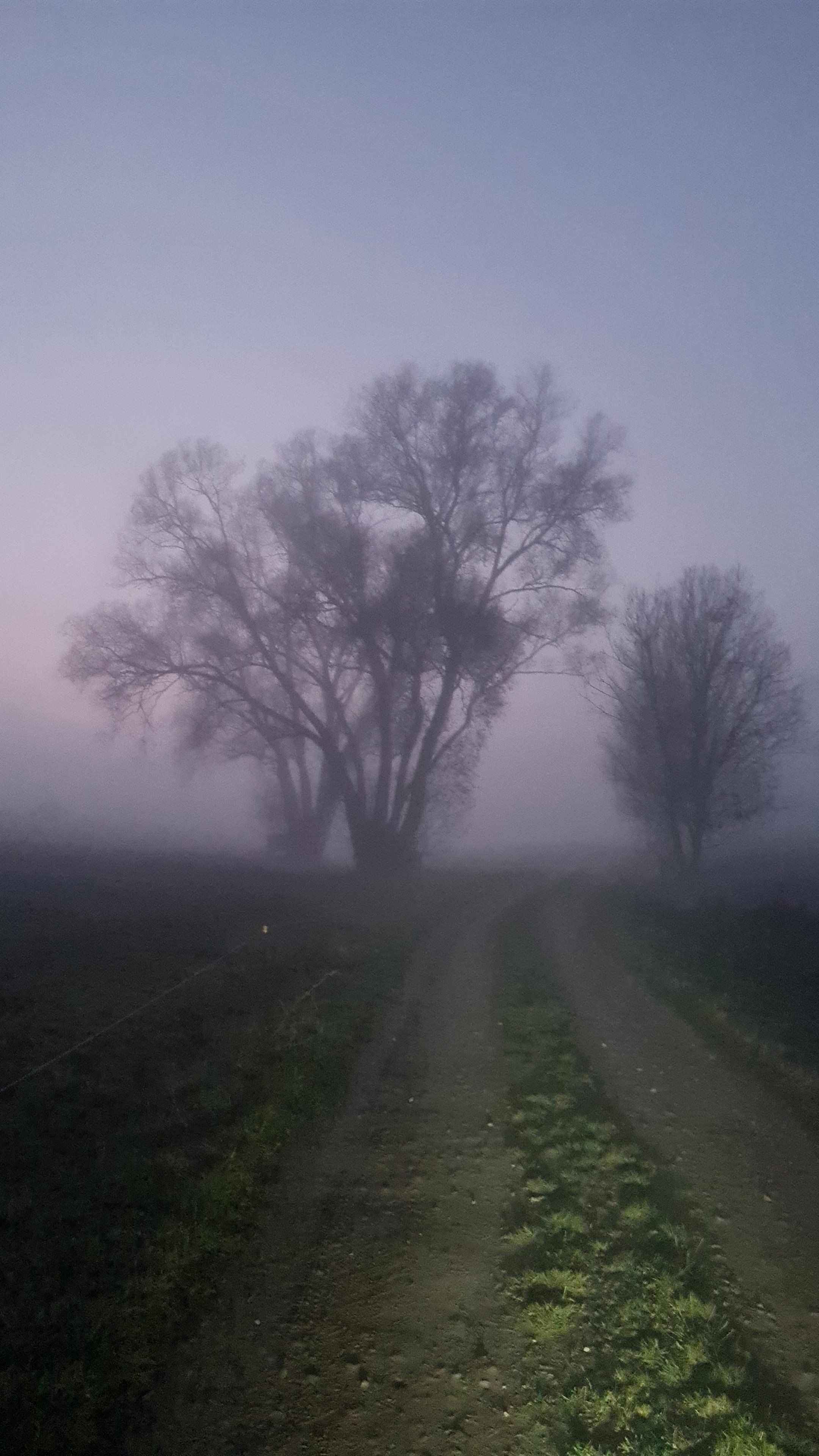 IMG-20211111-WA0004.jpeg