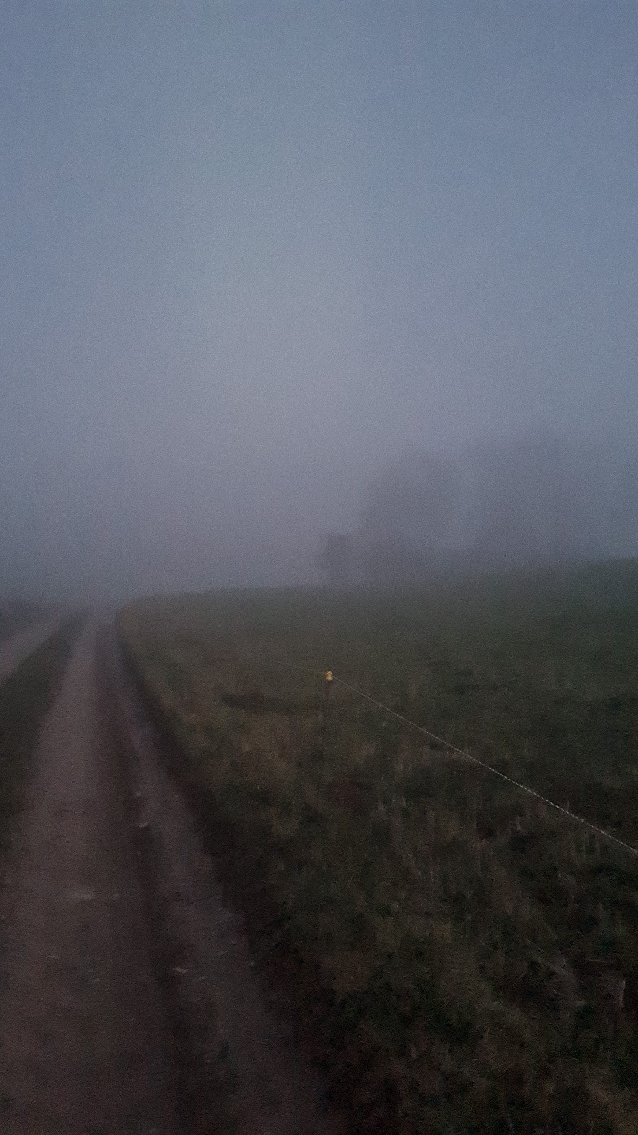 IMG-20211111-WA0006.jpeg