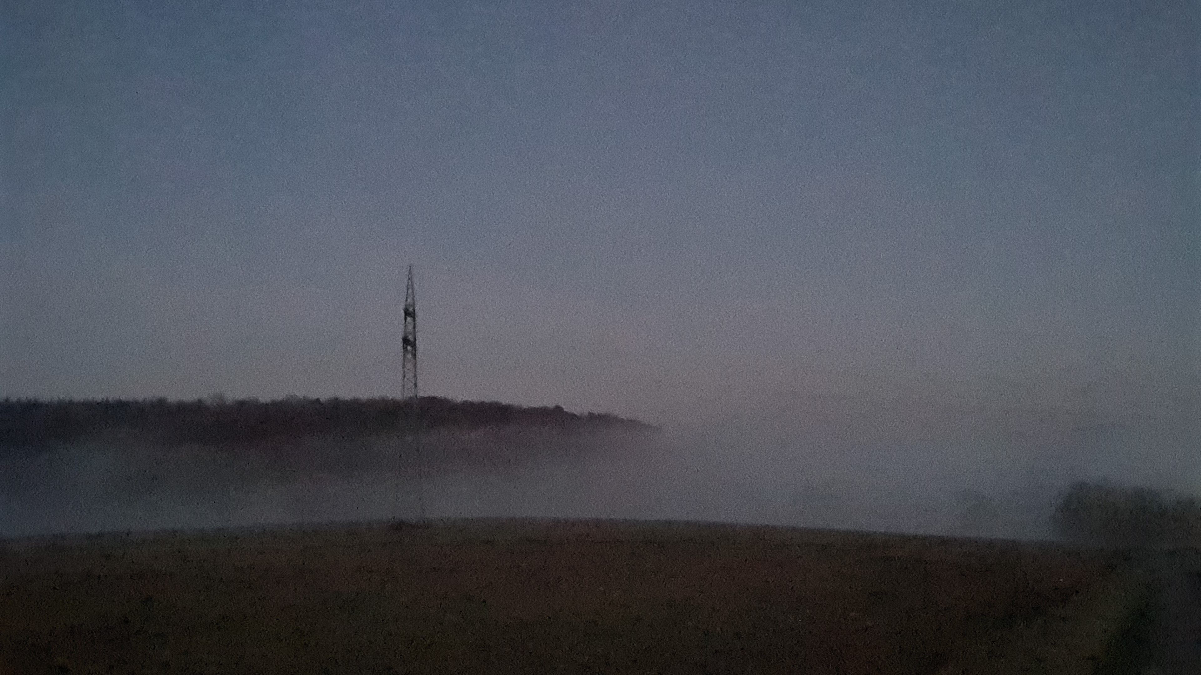 IMG-20211111-WA0011.jpeg