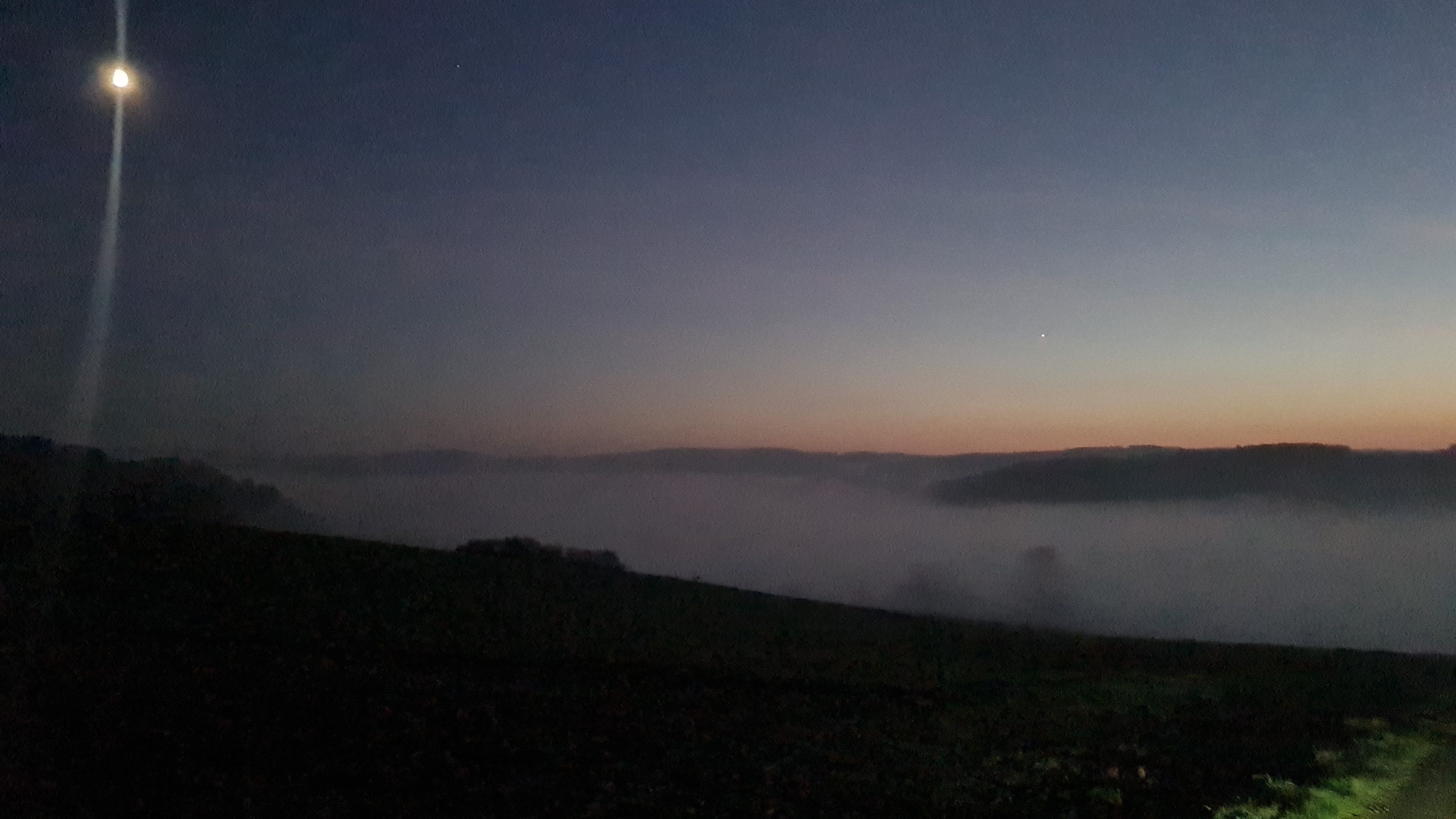 IMG-20211111-WA0021.jpeg