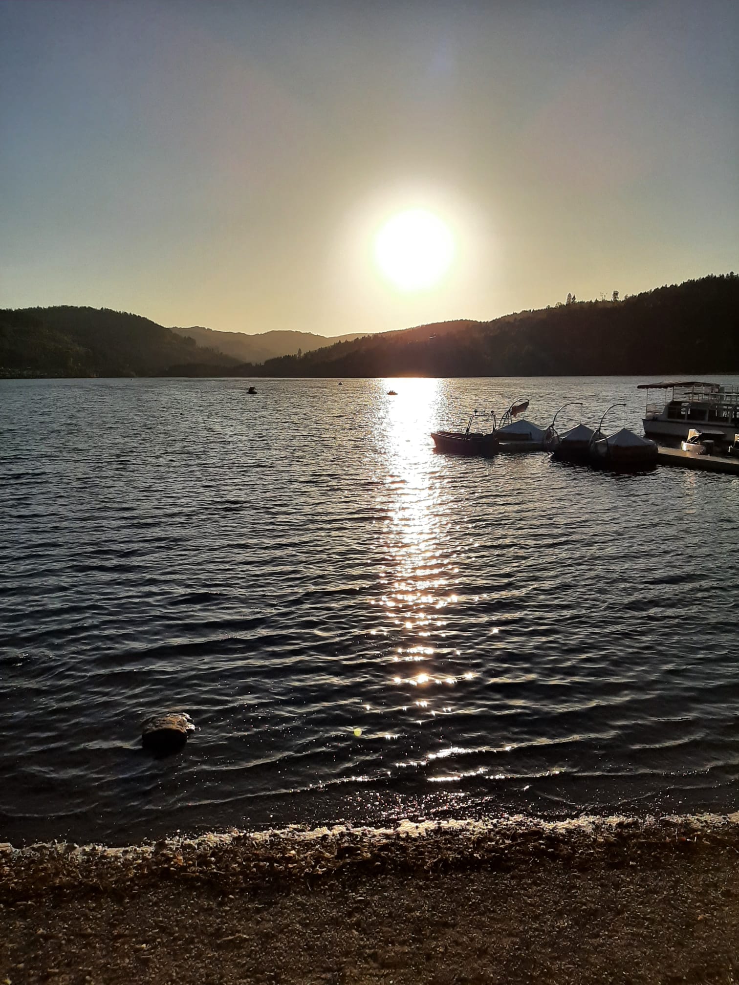 IMG-20231013-WA0112.jpg