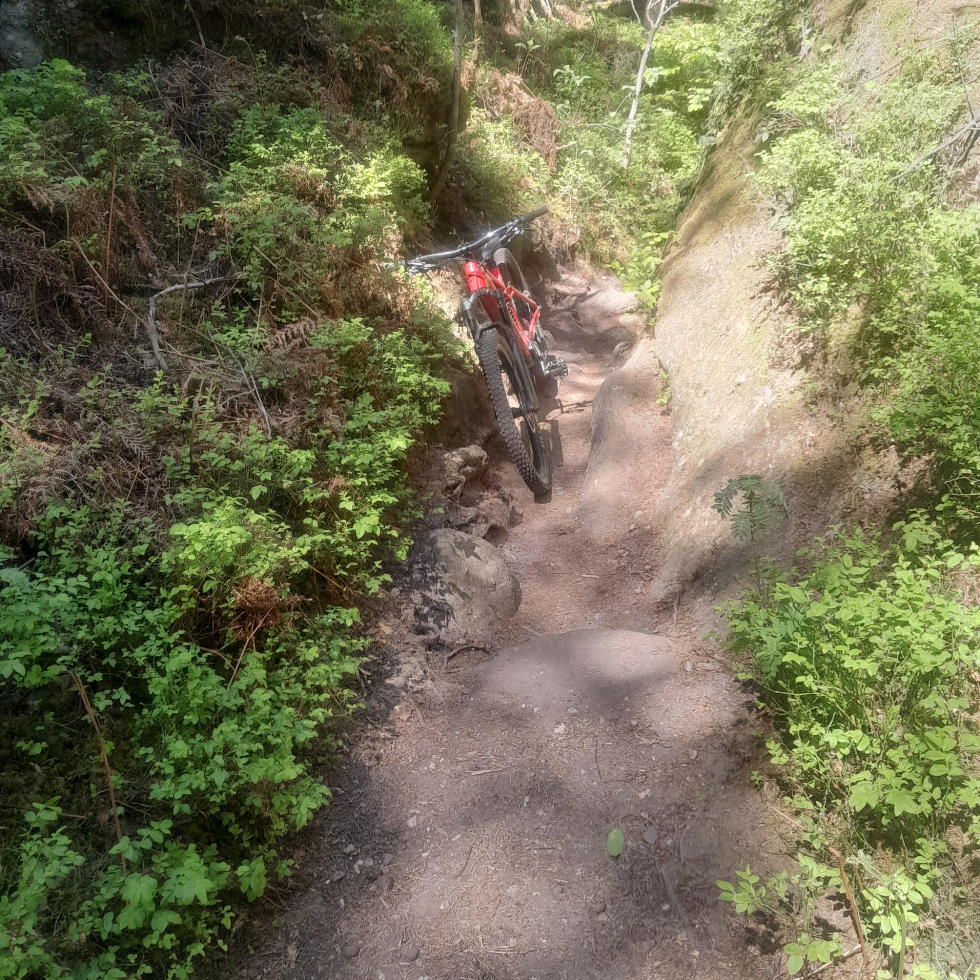 IMG-20260502-WA0003.jpg