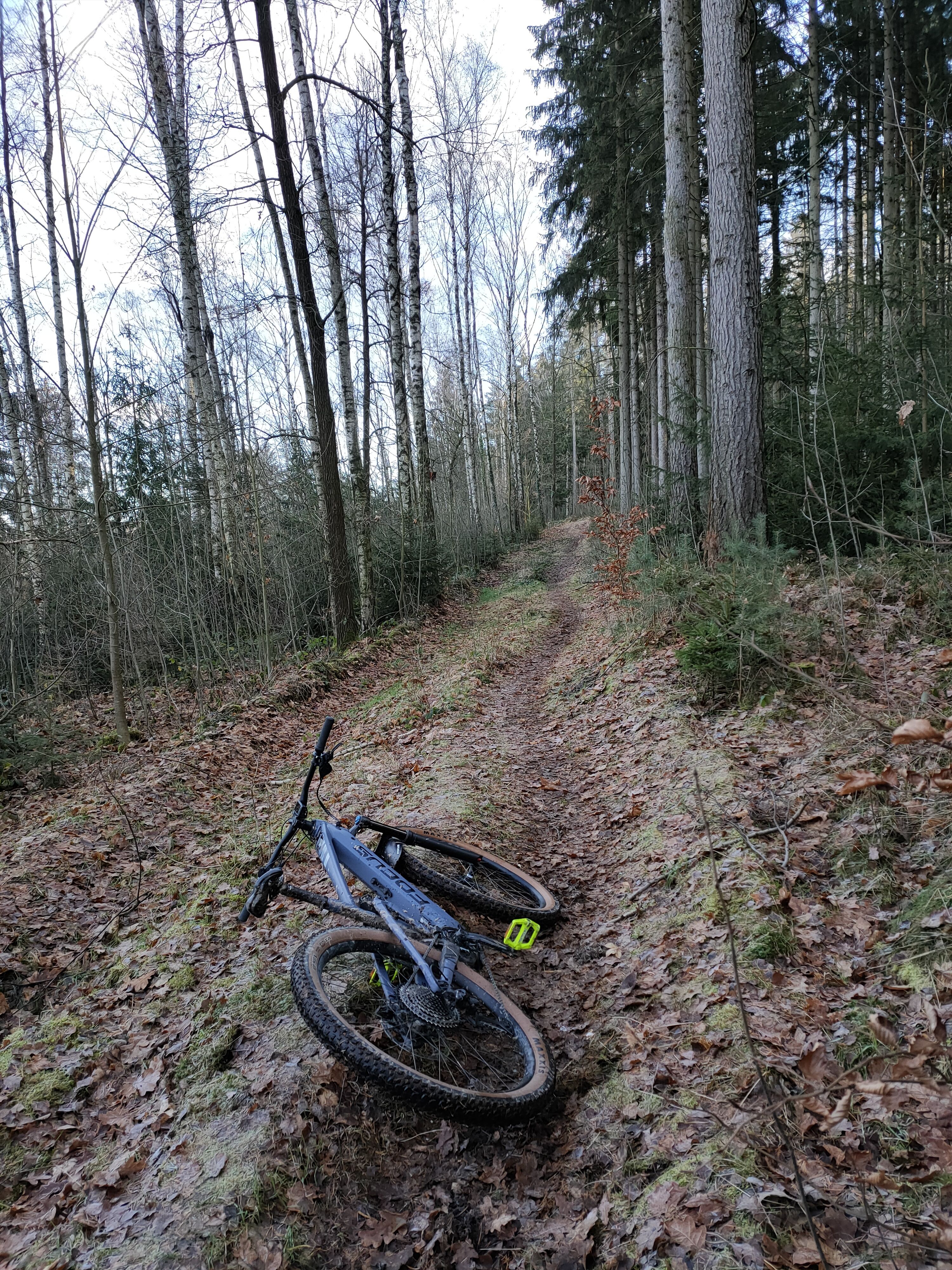IMG20201230131304.jpg