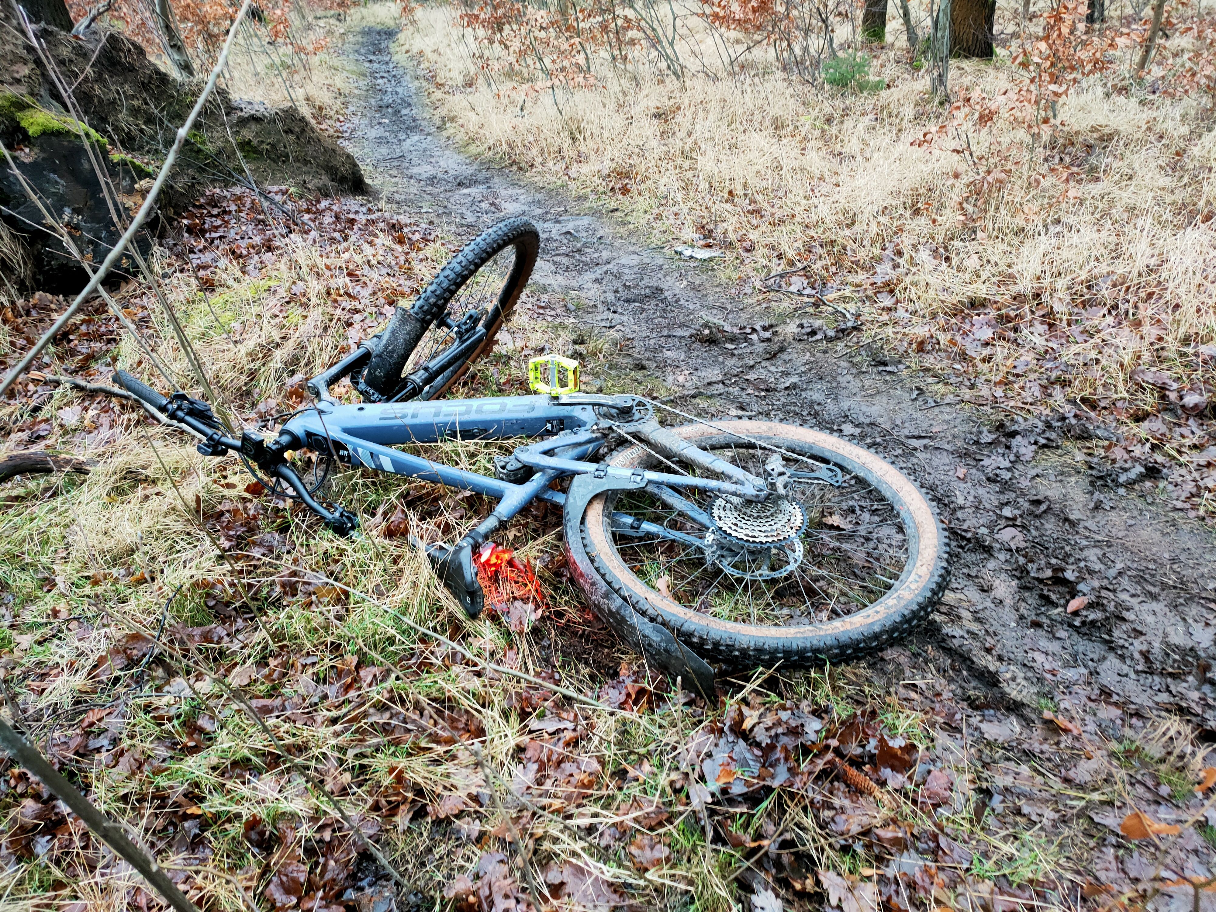 IMG20220125160605.jpg