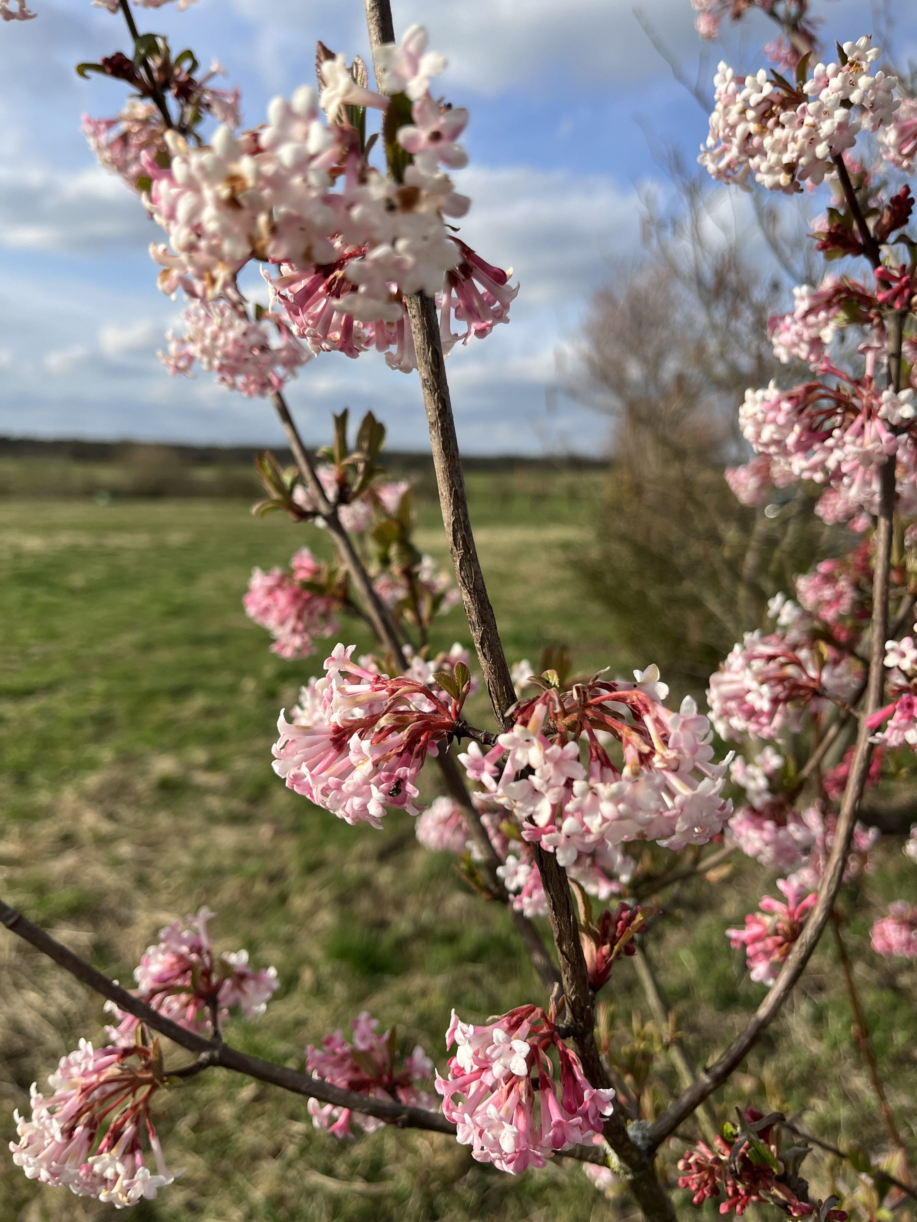 IMG_0356.jpeg