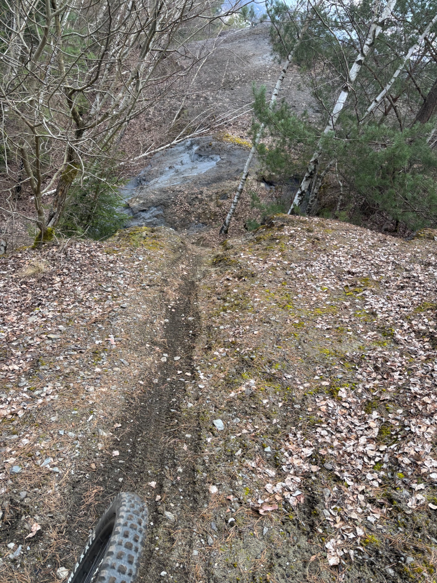IMG_0440.jpeg