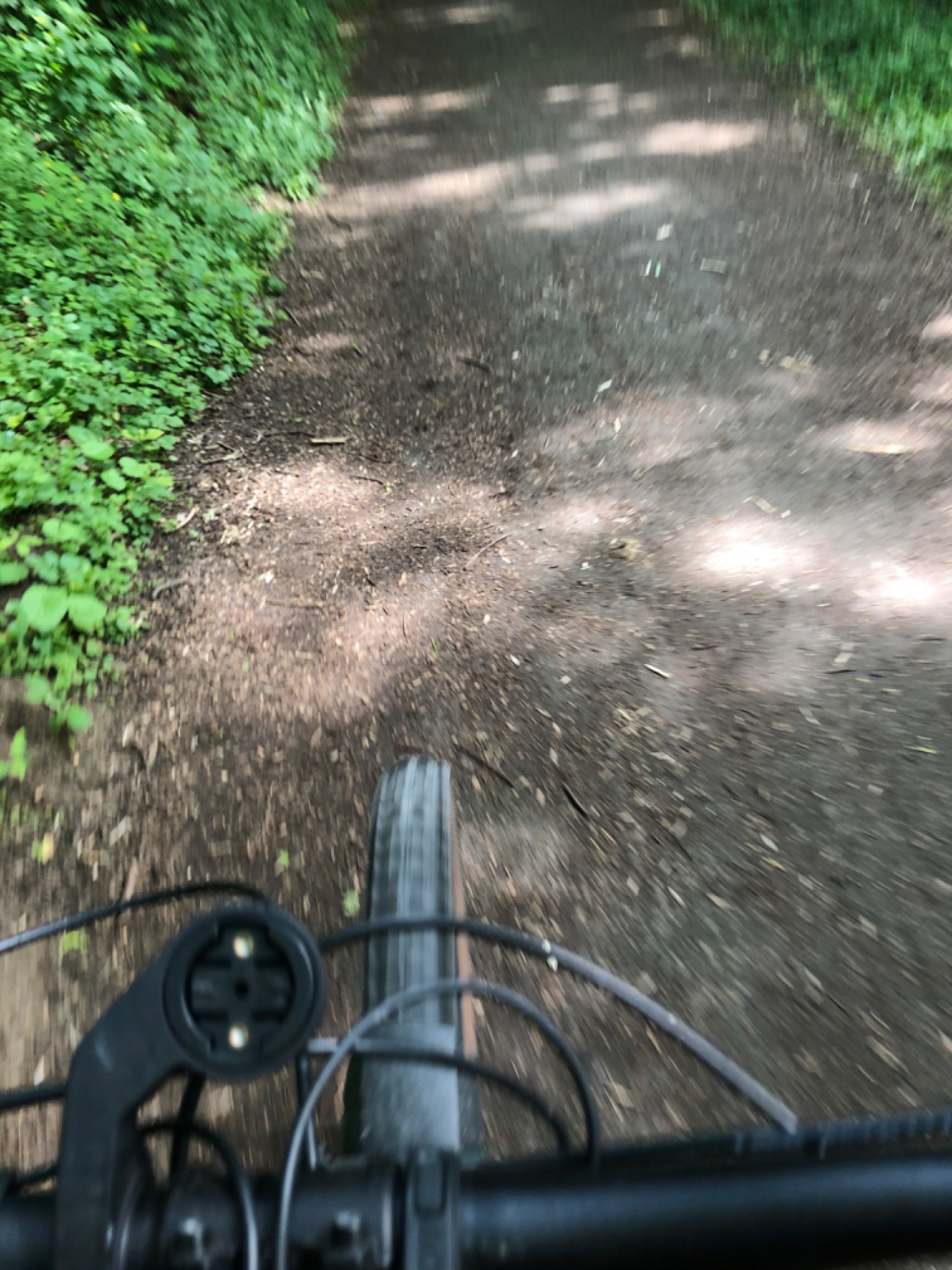 IMG_0621.jpeg