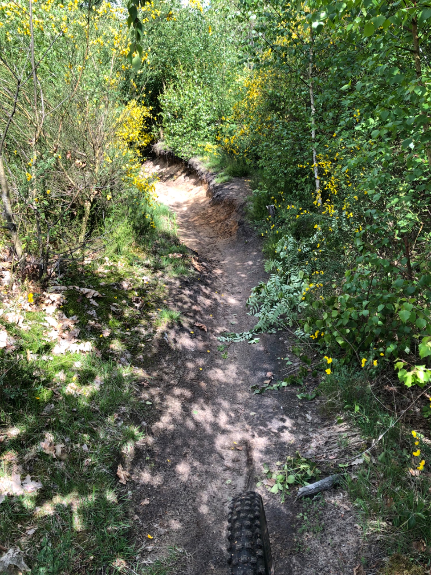 IMG_0624.jpeg