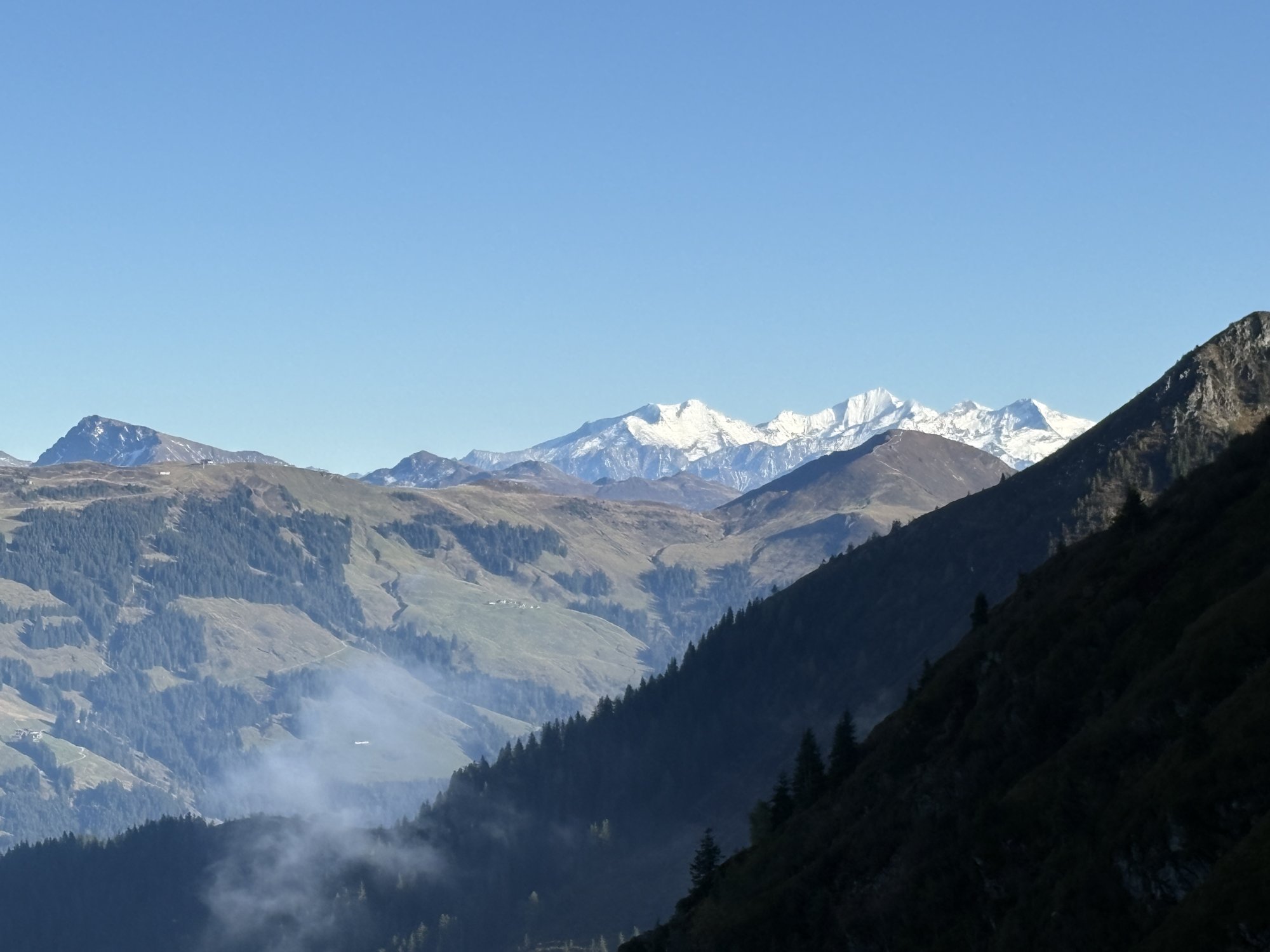 IMG_1810.jpeg