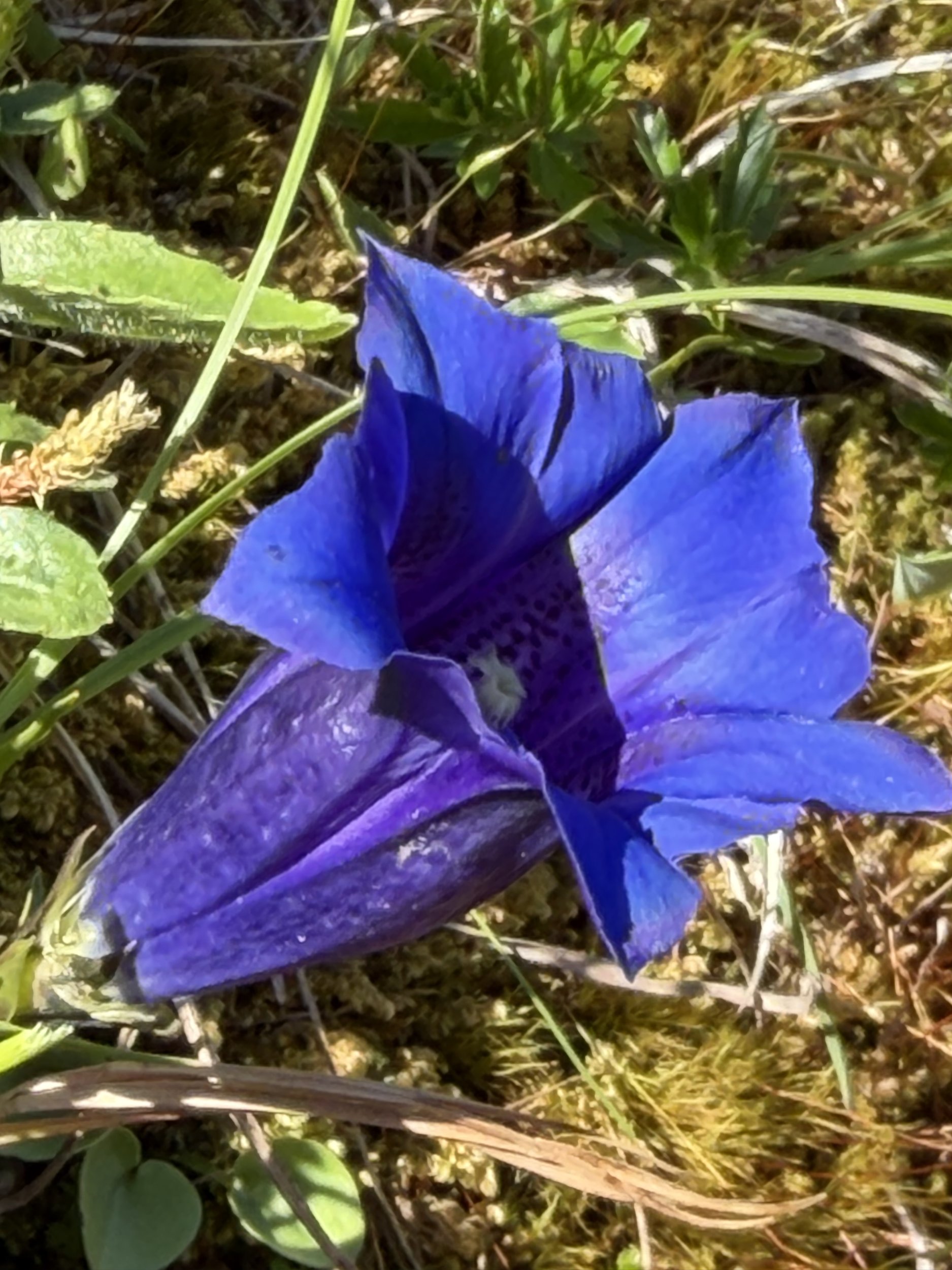 IMG_1873.jpeg