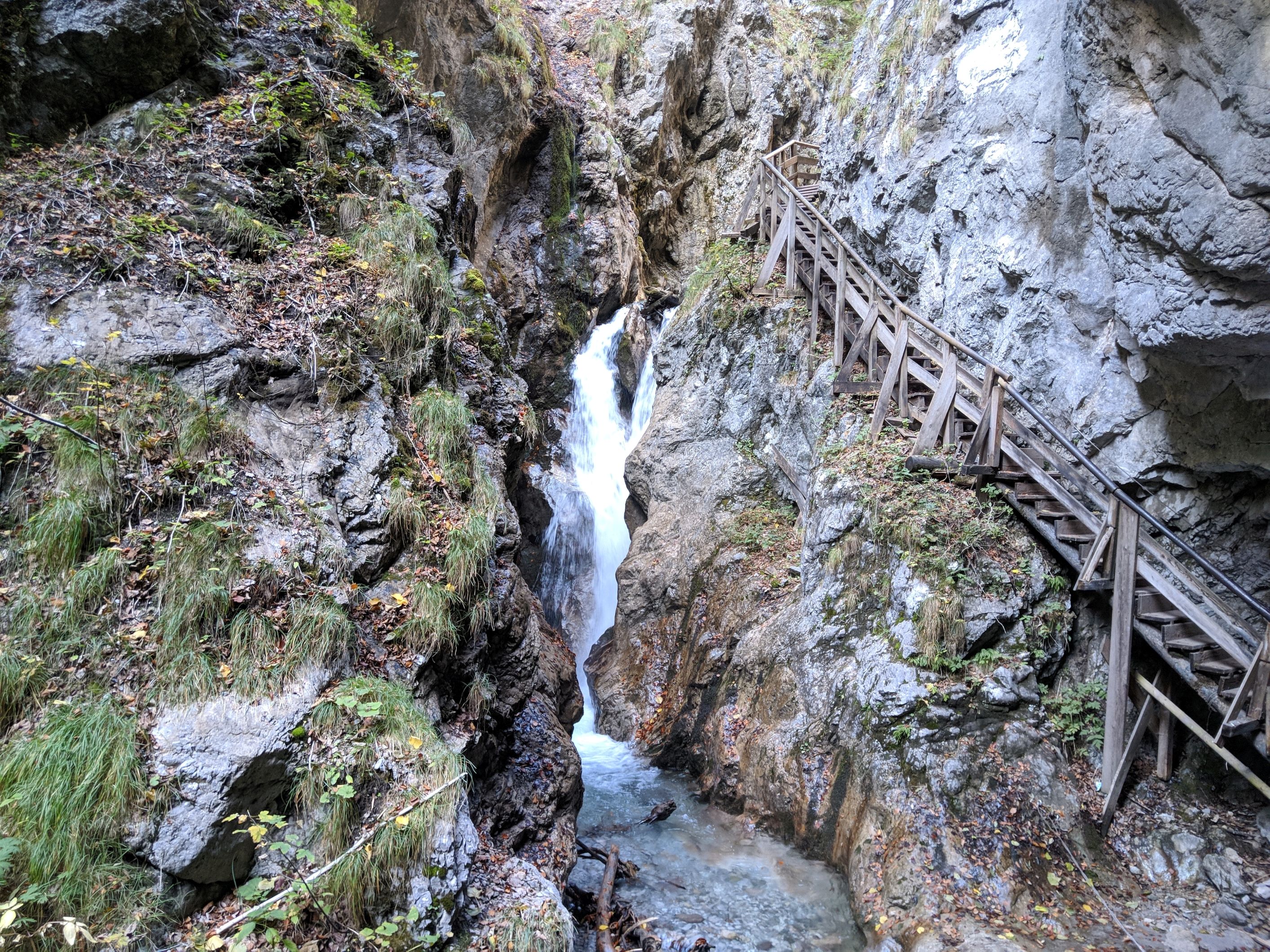 IMG_20181015_103219.jpg