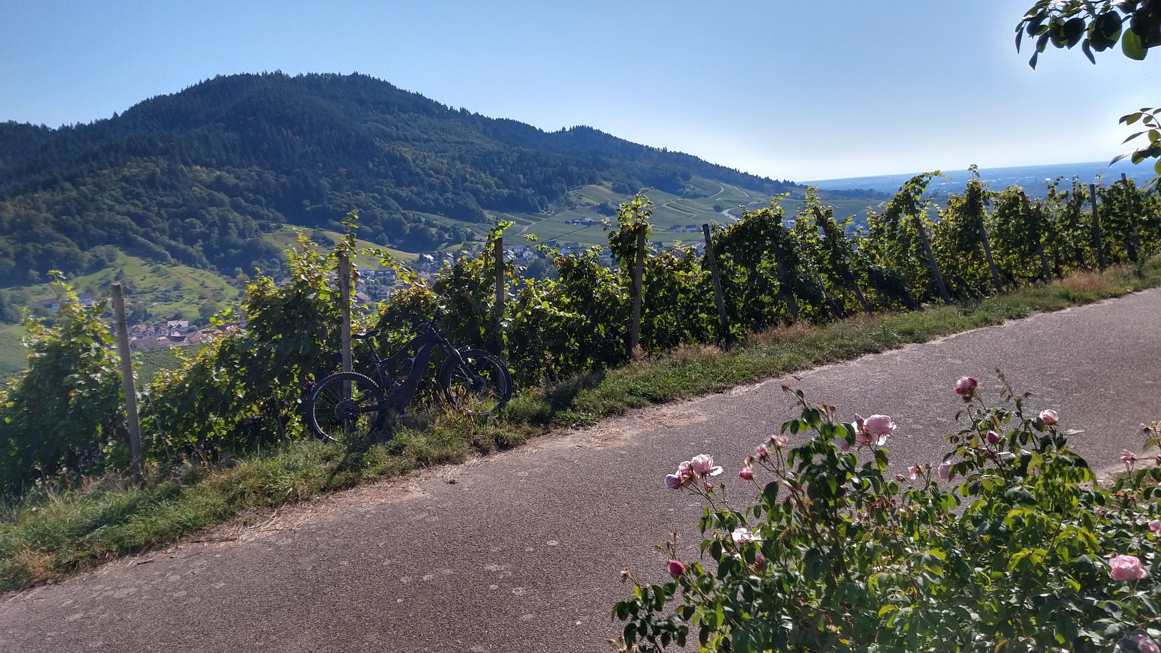 IMG_20190915_155425419_HDR.jpg