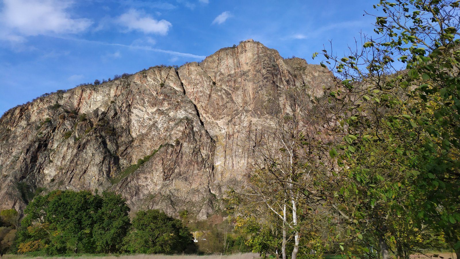 IMG_20191102_143201.jpg