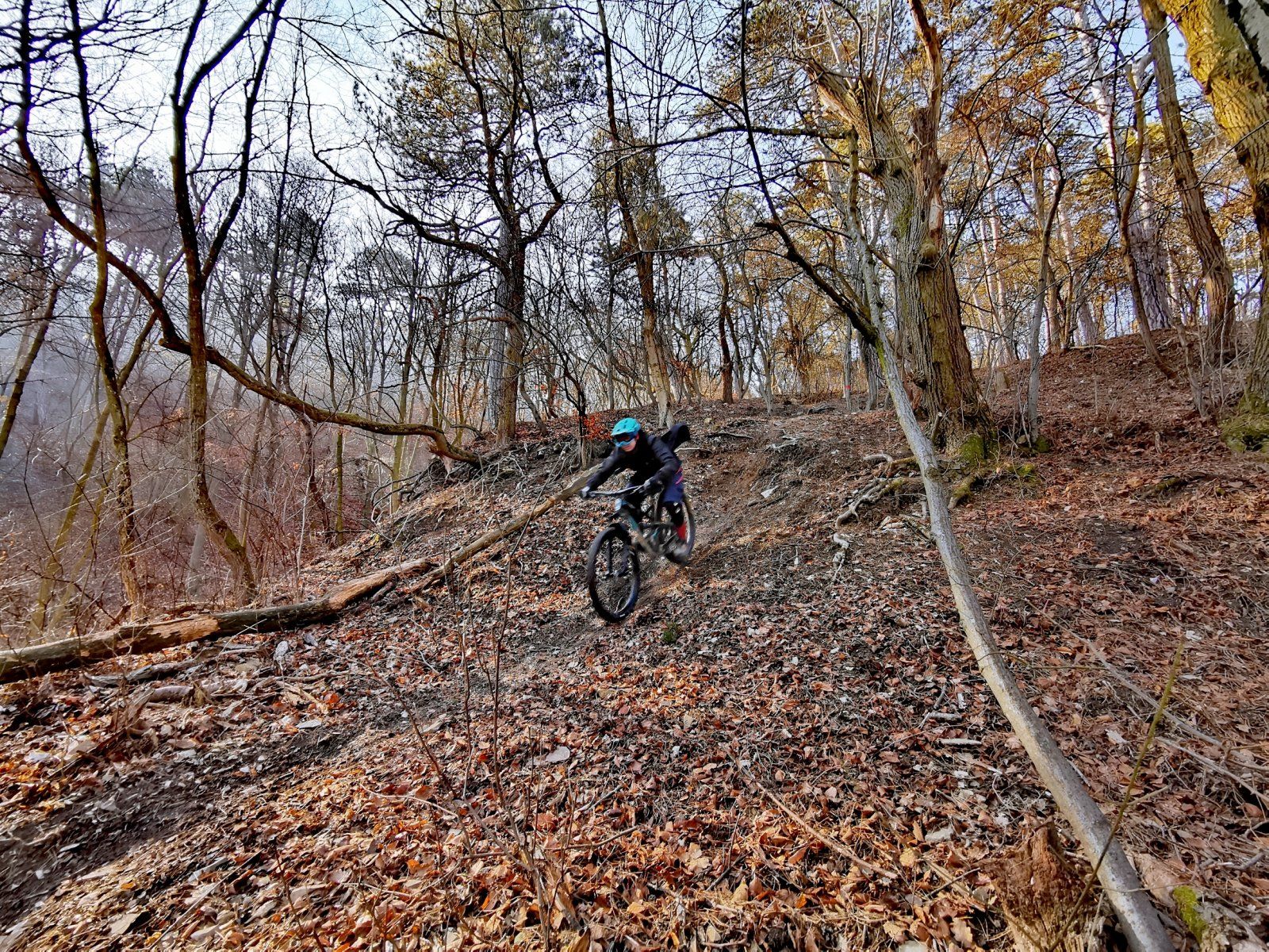IMG_20200209_112257.jpg
