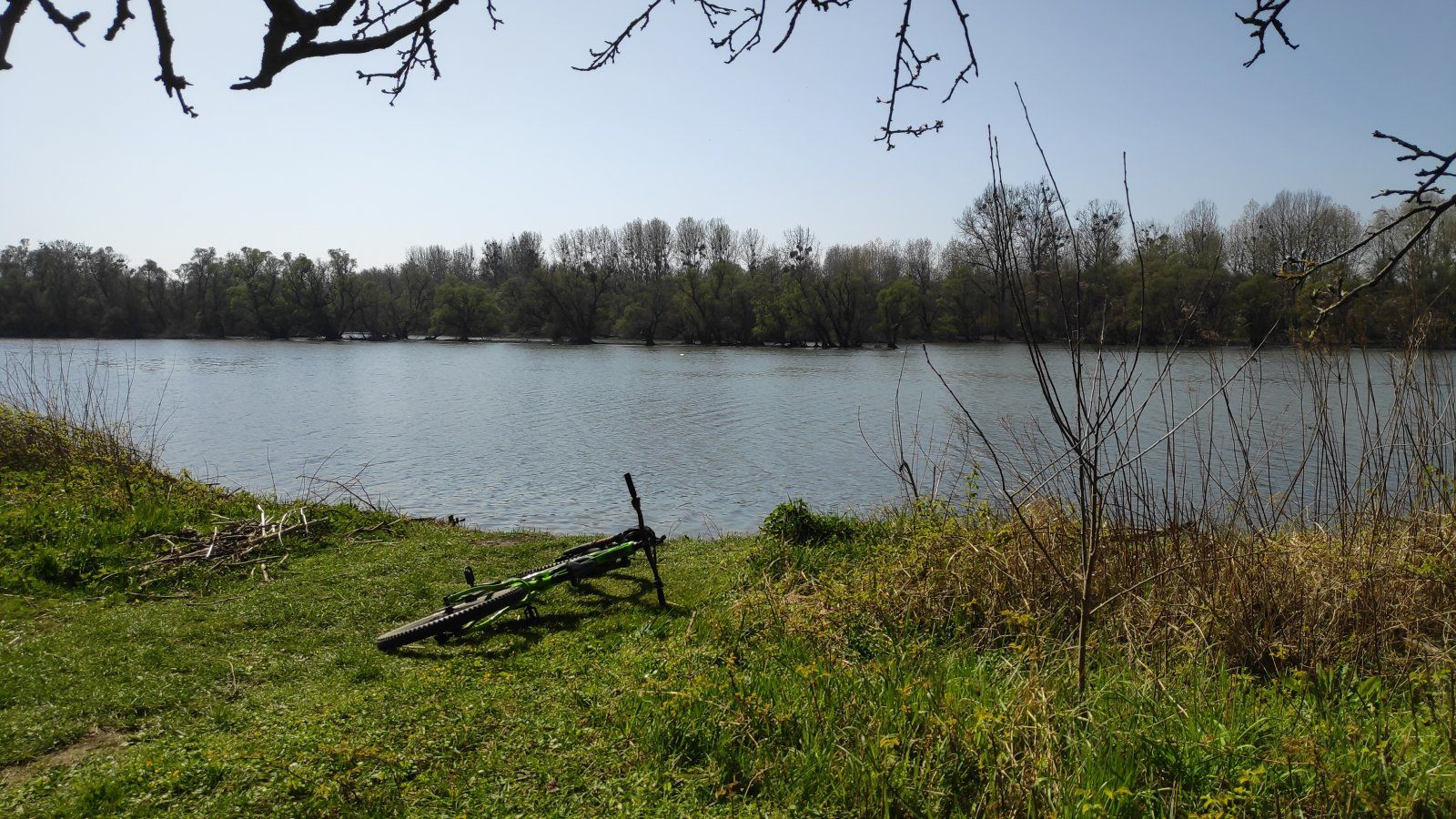 IMG_20200328_133755.jpg