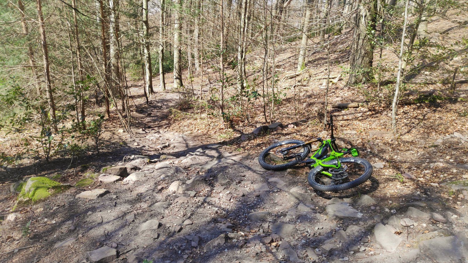 IMG_20200404_135413-01.jpeg
