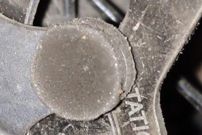 IMG_20200810_185751_crop_98.jpg