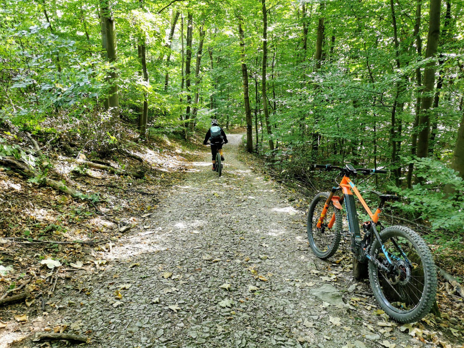 IMG_20200919_113308~2.jpg