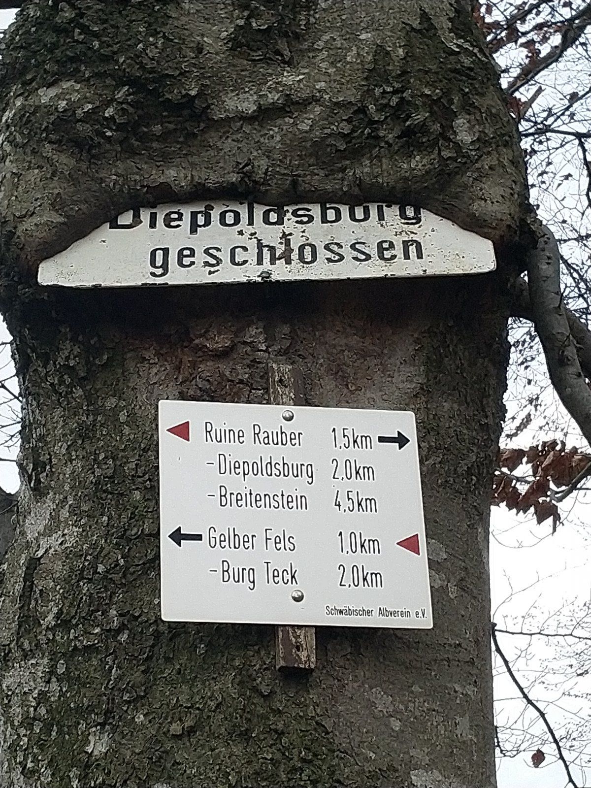 IMG_20201102_150629.jpg