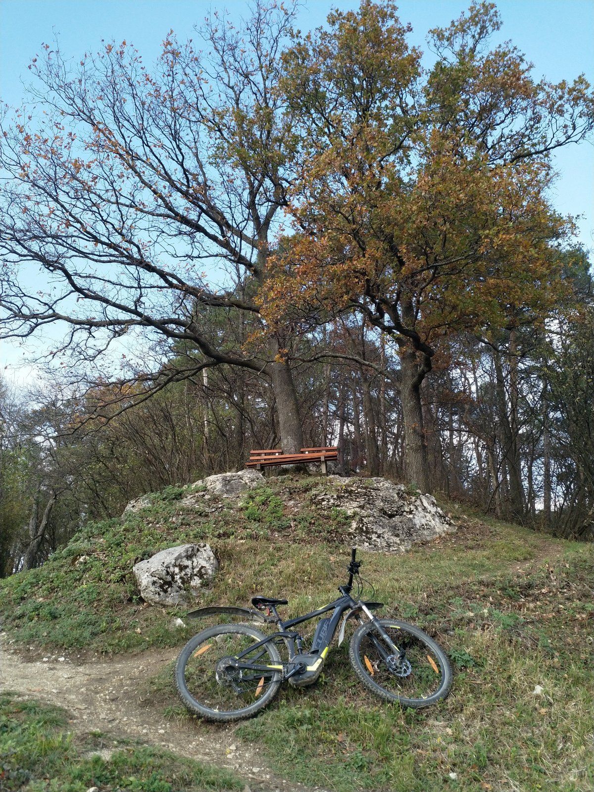 IMG_20201105_135522.jpg