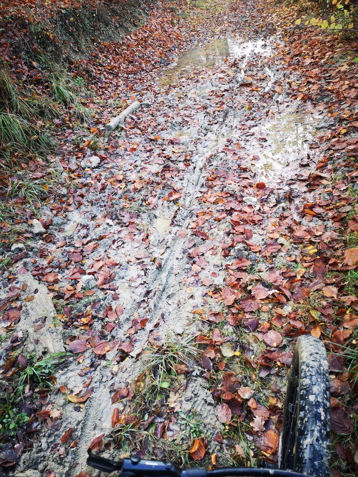 IMG_20201108_121110.jpg