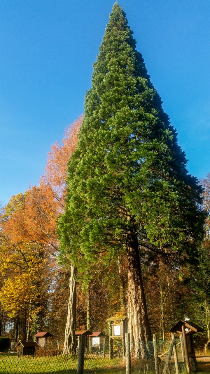 IMG_20201114_145525_S1280.jpg