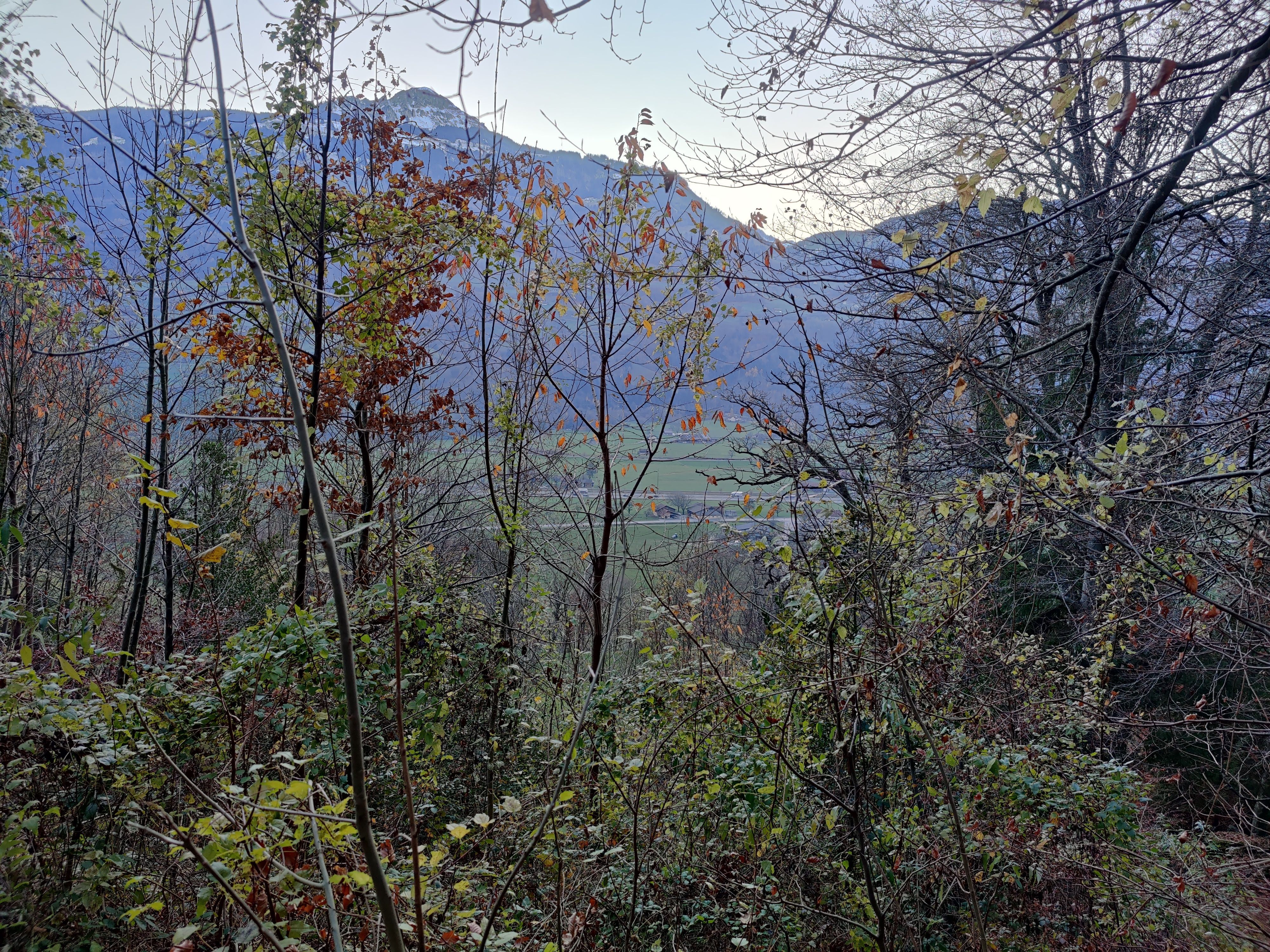 IMG_20201123_161210.jpg