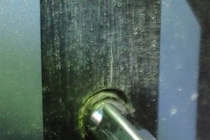 IMG_20201125_130134_crop_29.jpg