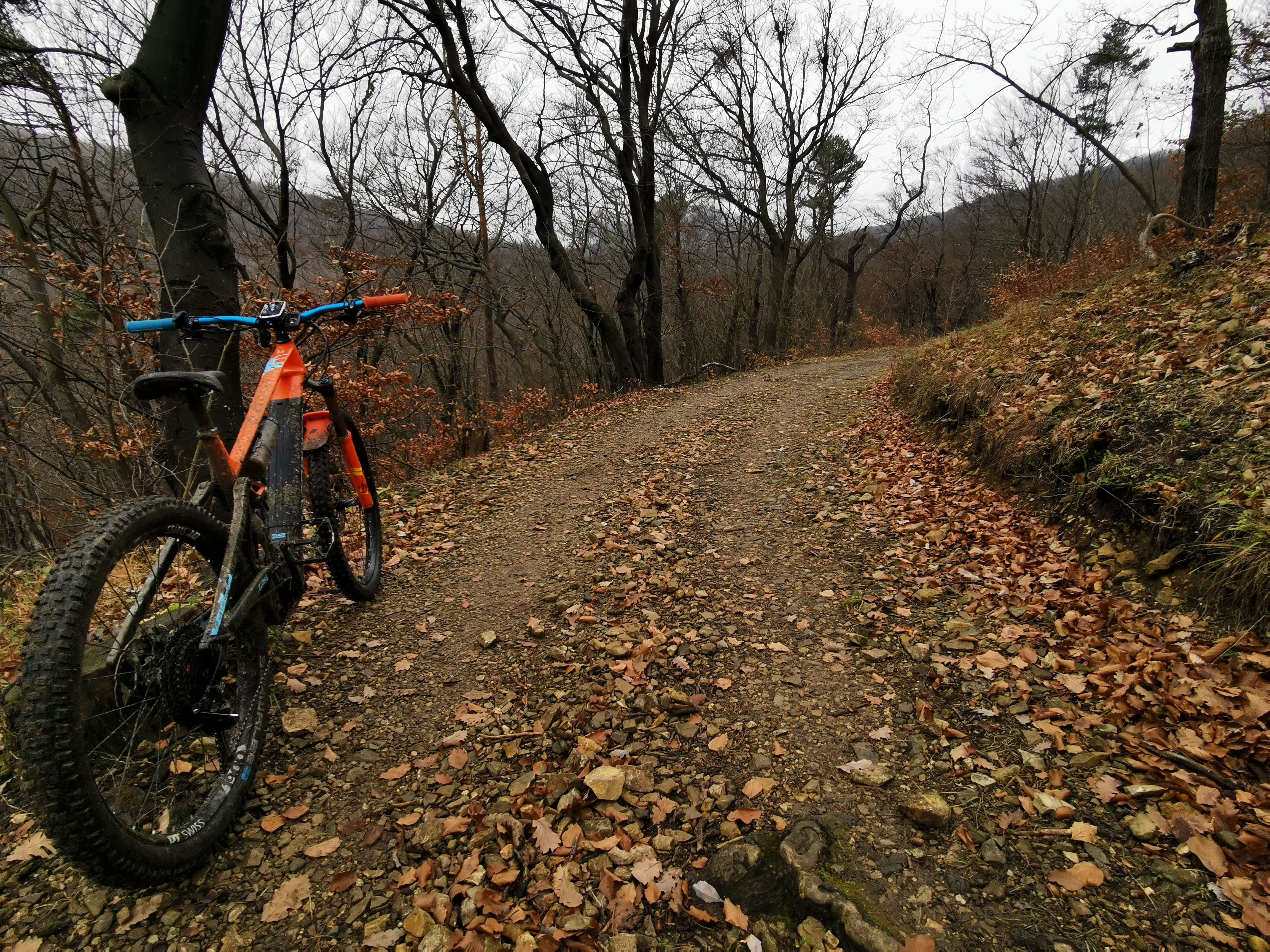IMG_20201206_112627.jpg