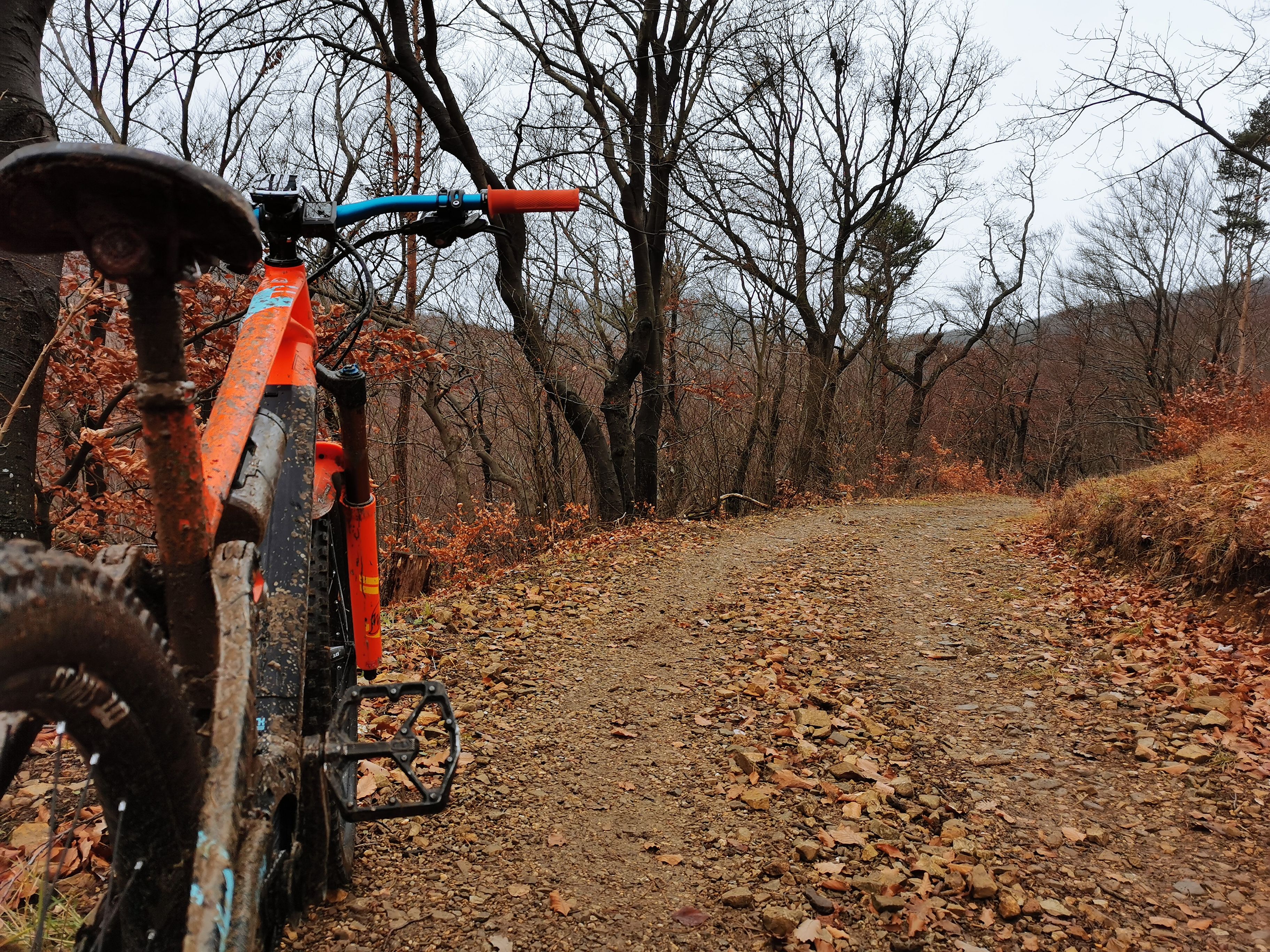 IMG_20201206_112636.jpg