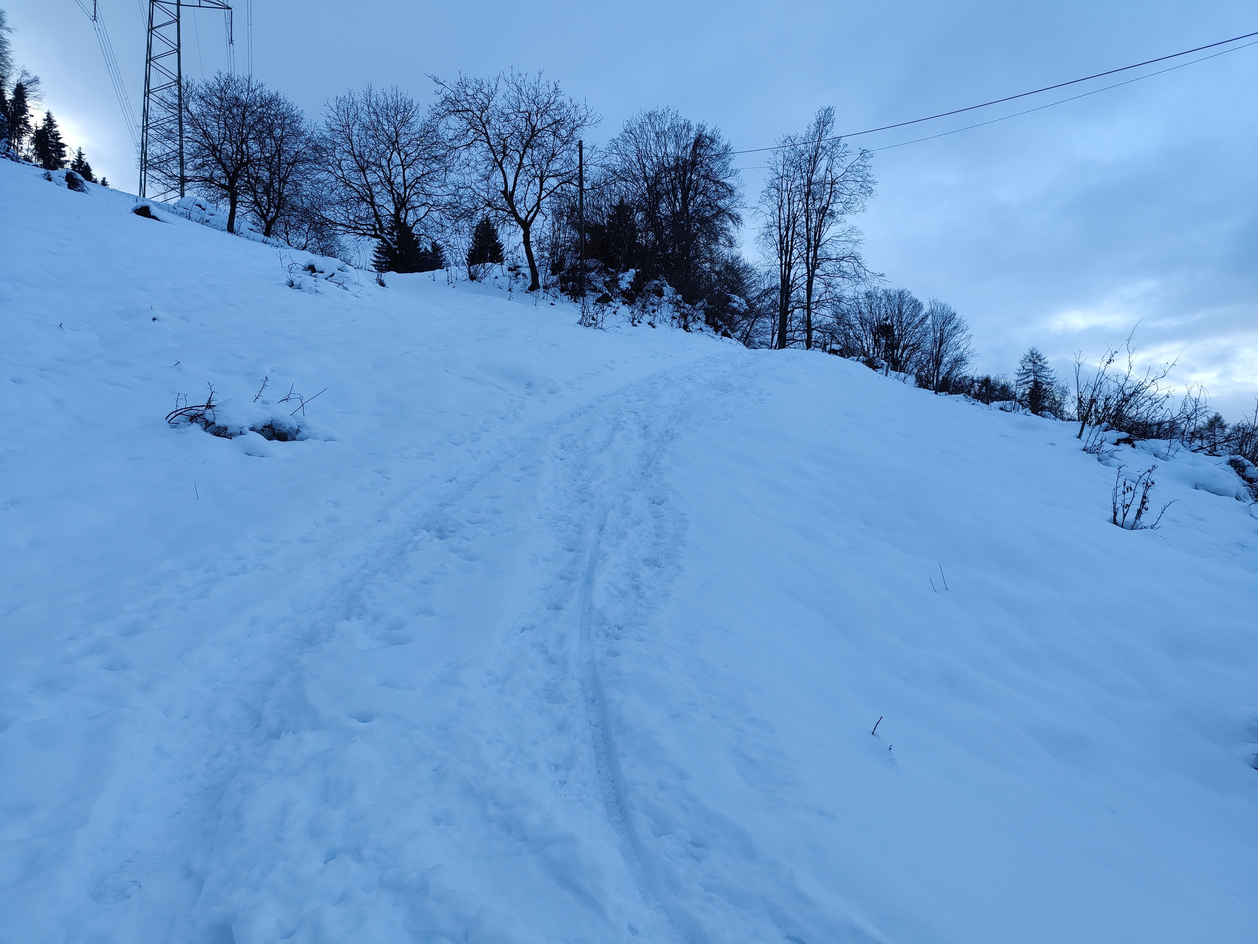 IMG_20201213_153656.jpg