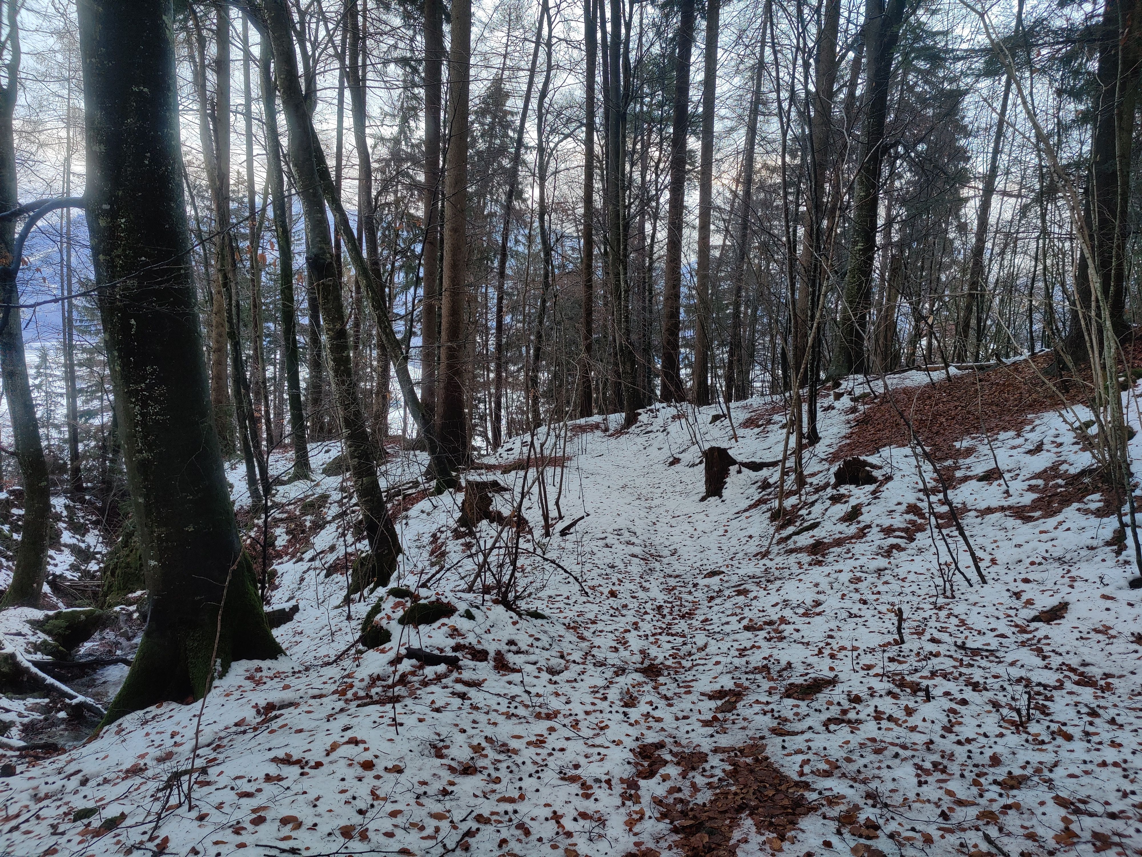 IMG_20201213_155137.jpg