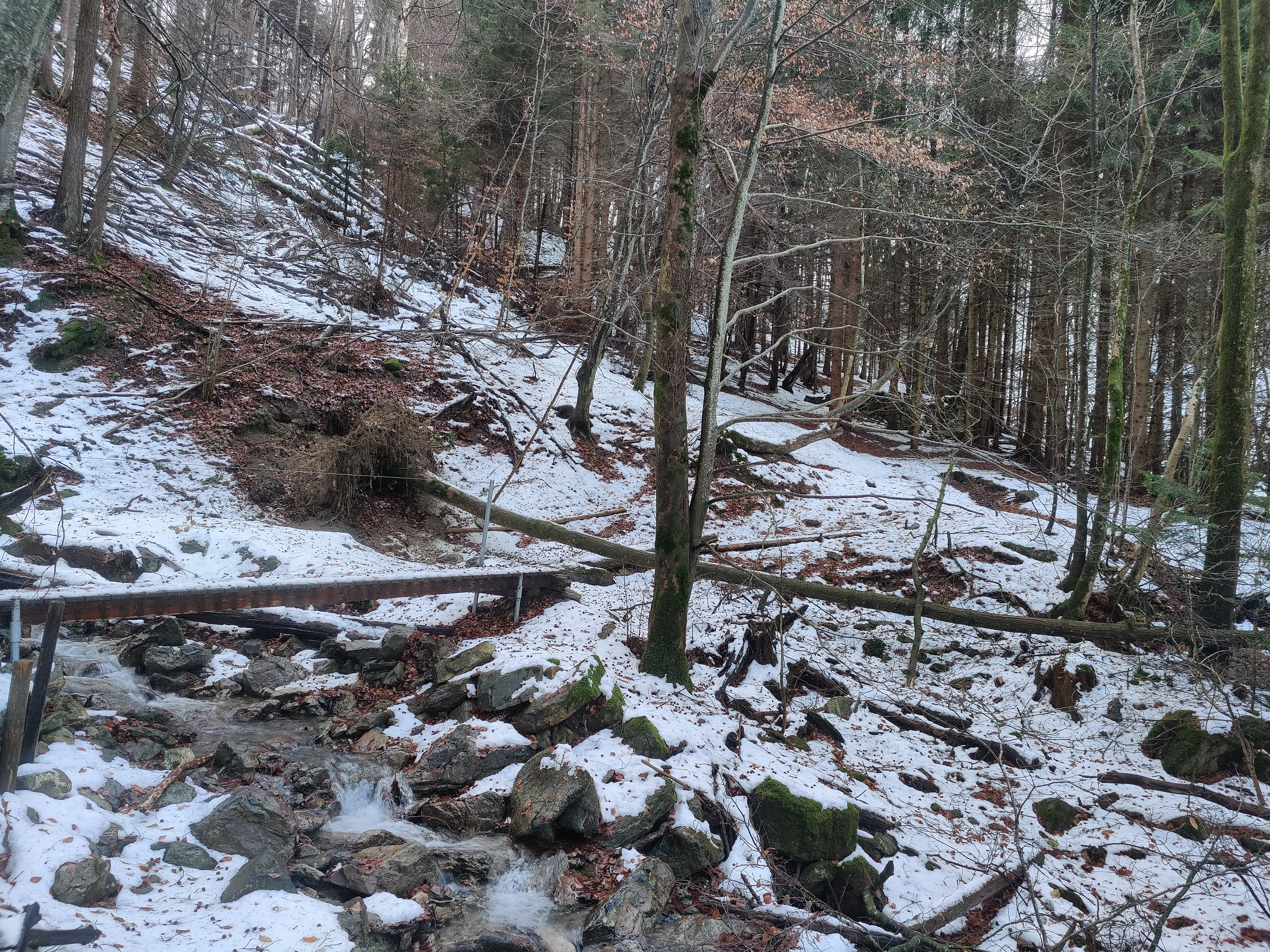 IMG_20201213_155142.jpg