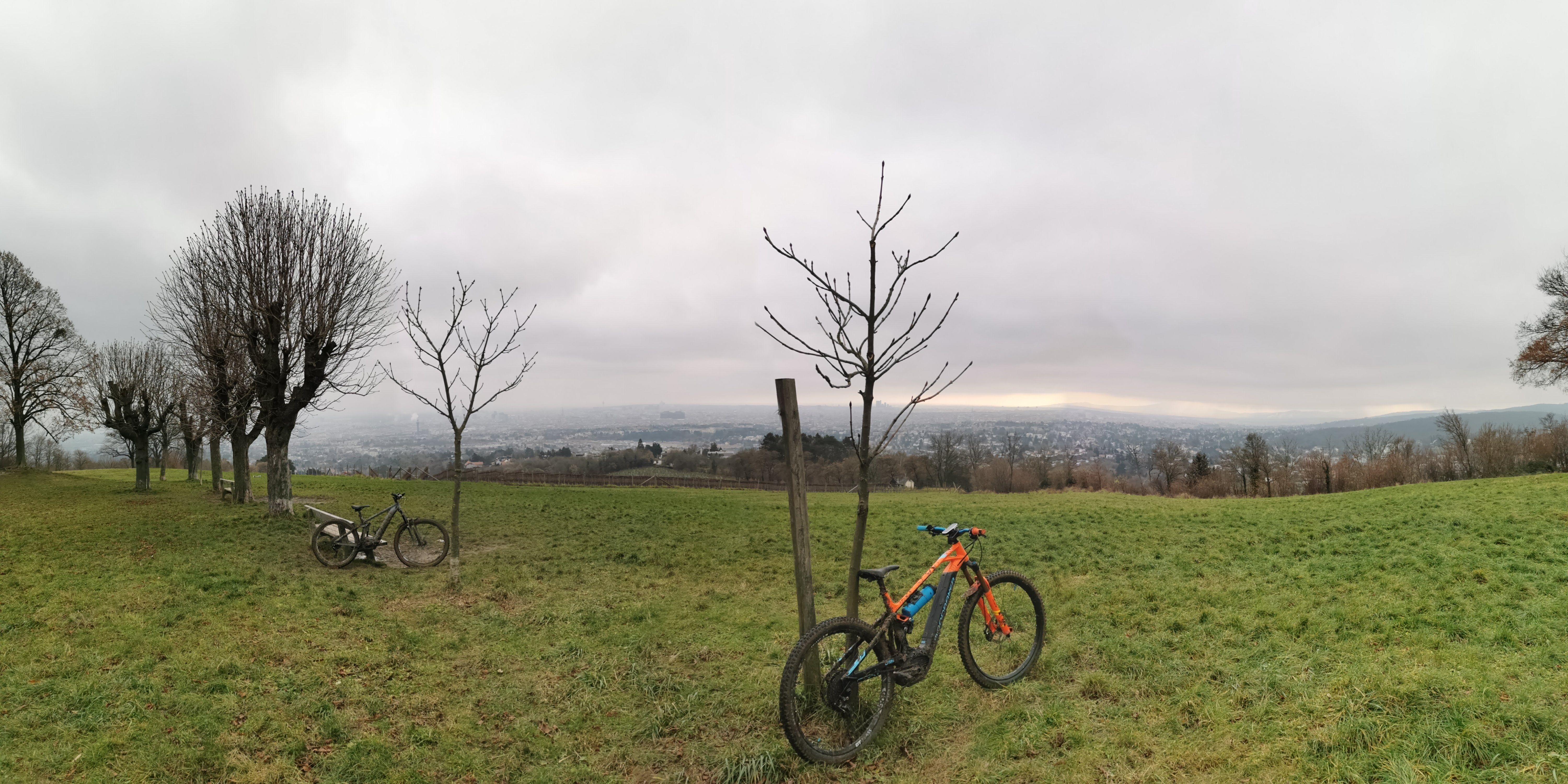 IMG_20201215_132518.jpg