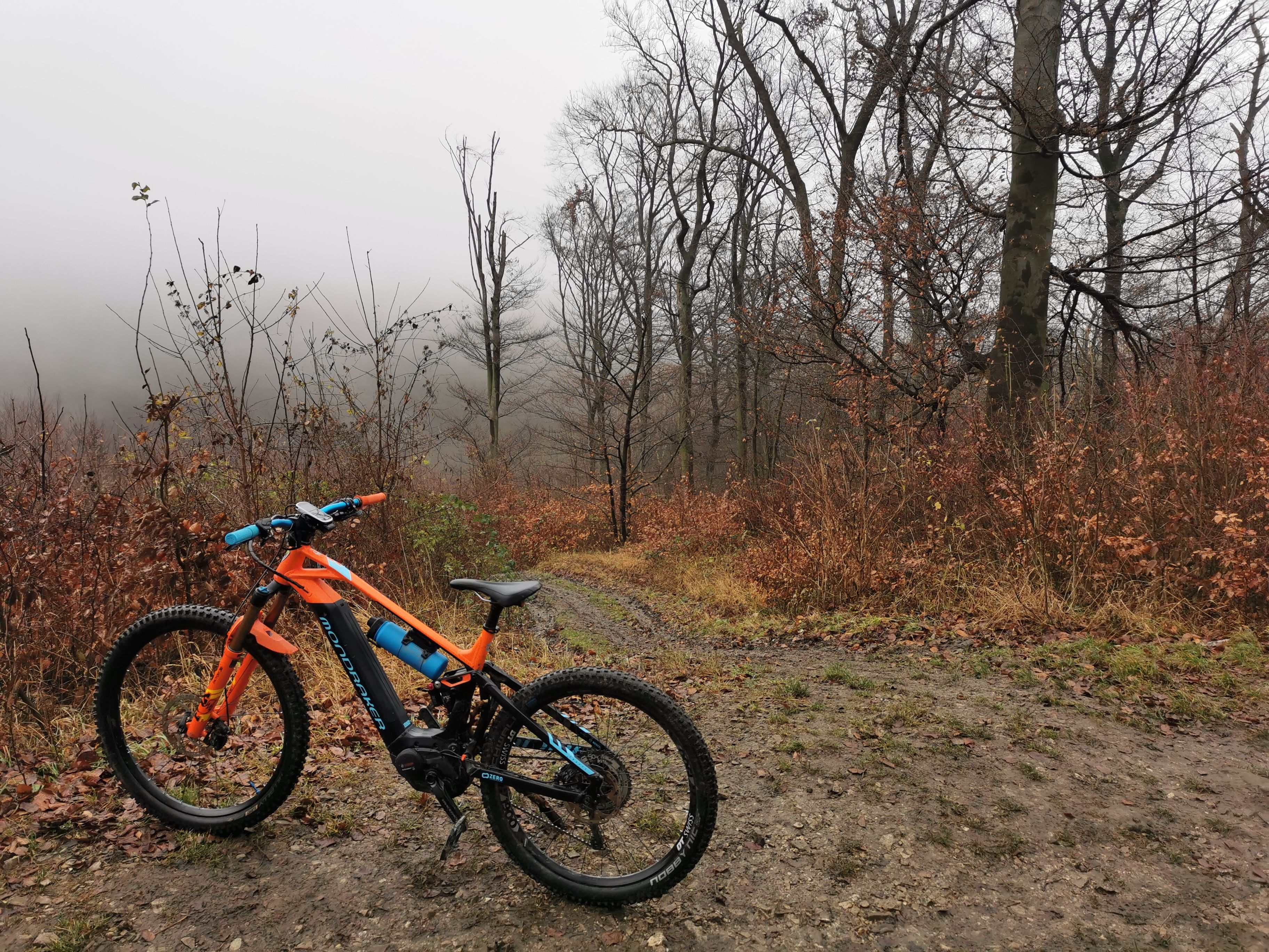 IMG_20201216_122800.jpg