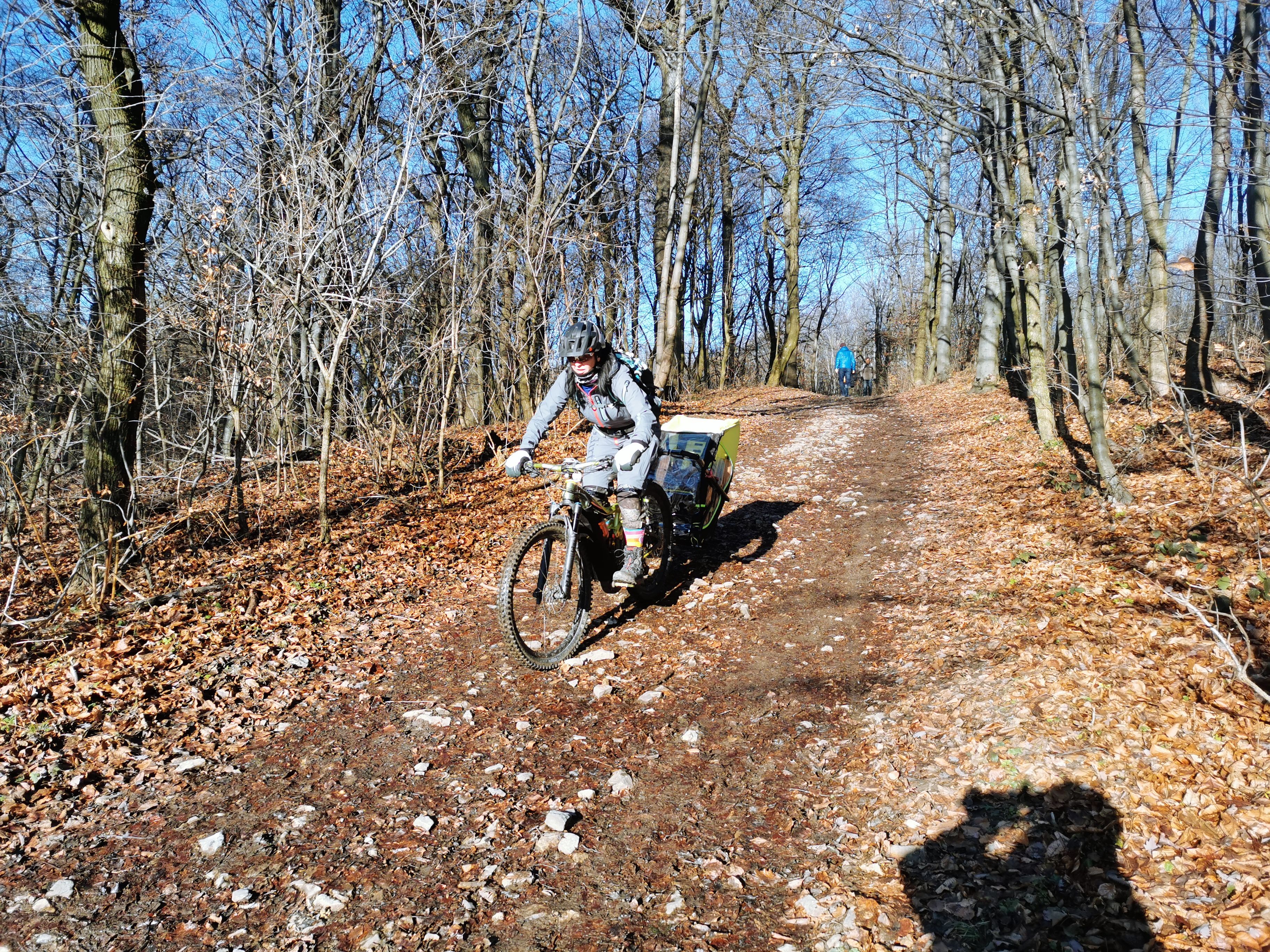 IMG_20201226_102013.jpg