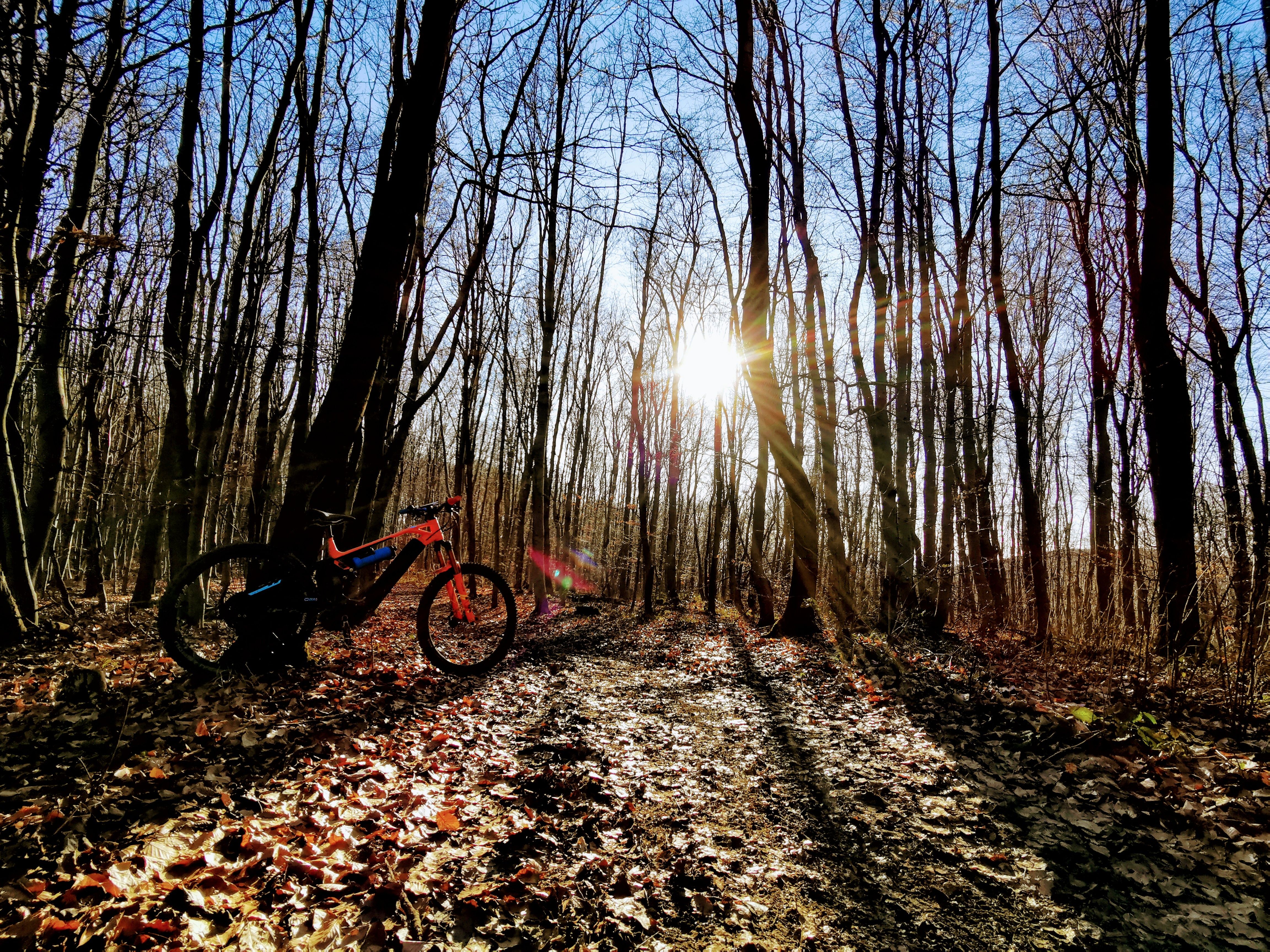 IMG_20201227_103223~2.jpg