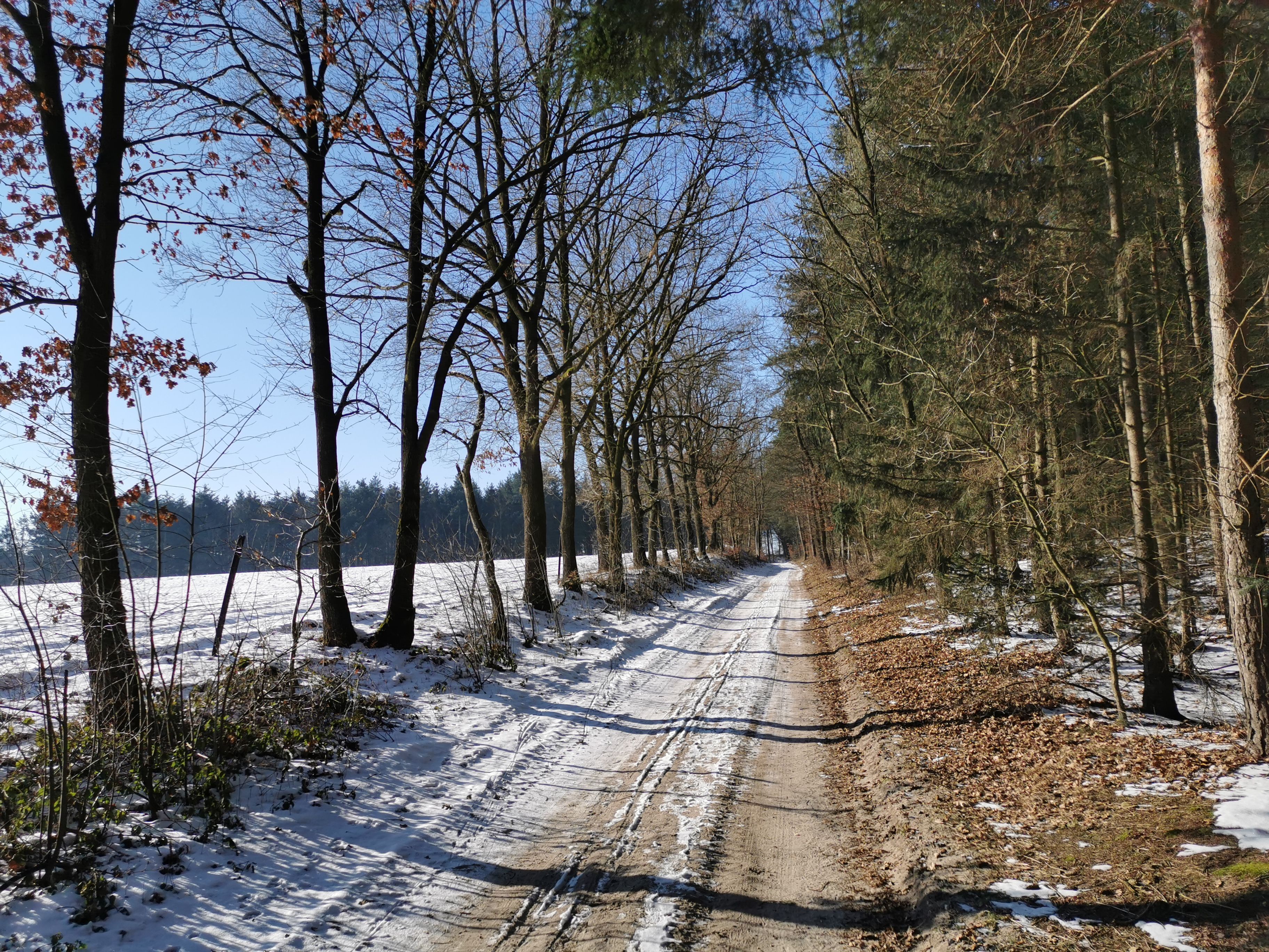 IMG_20210213_112827_1.jpg