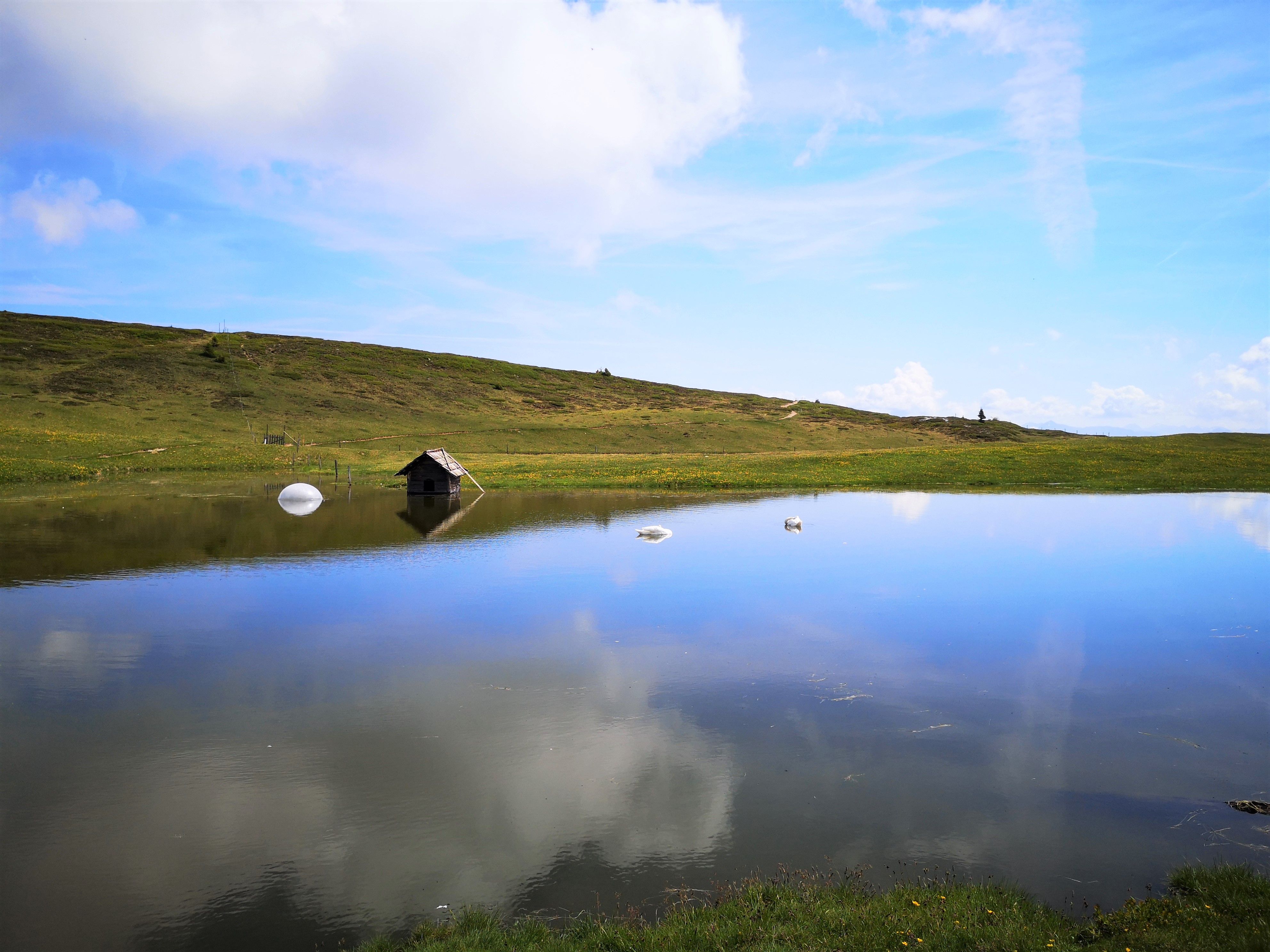 IMG_20210628_Glittner See.jpg