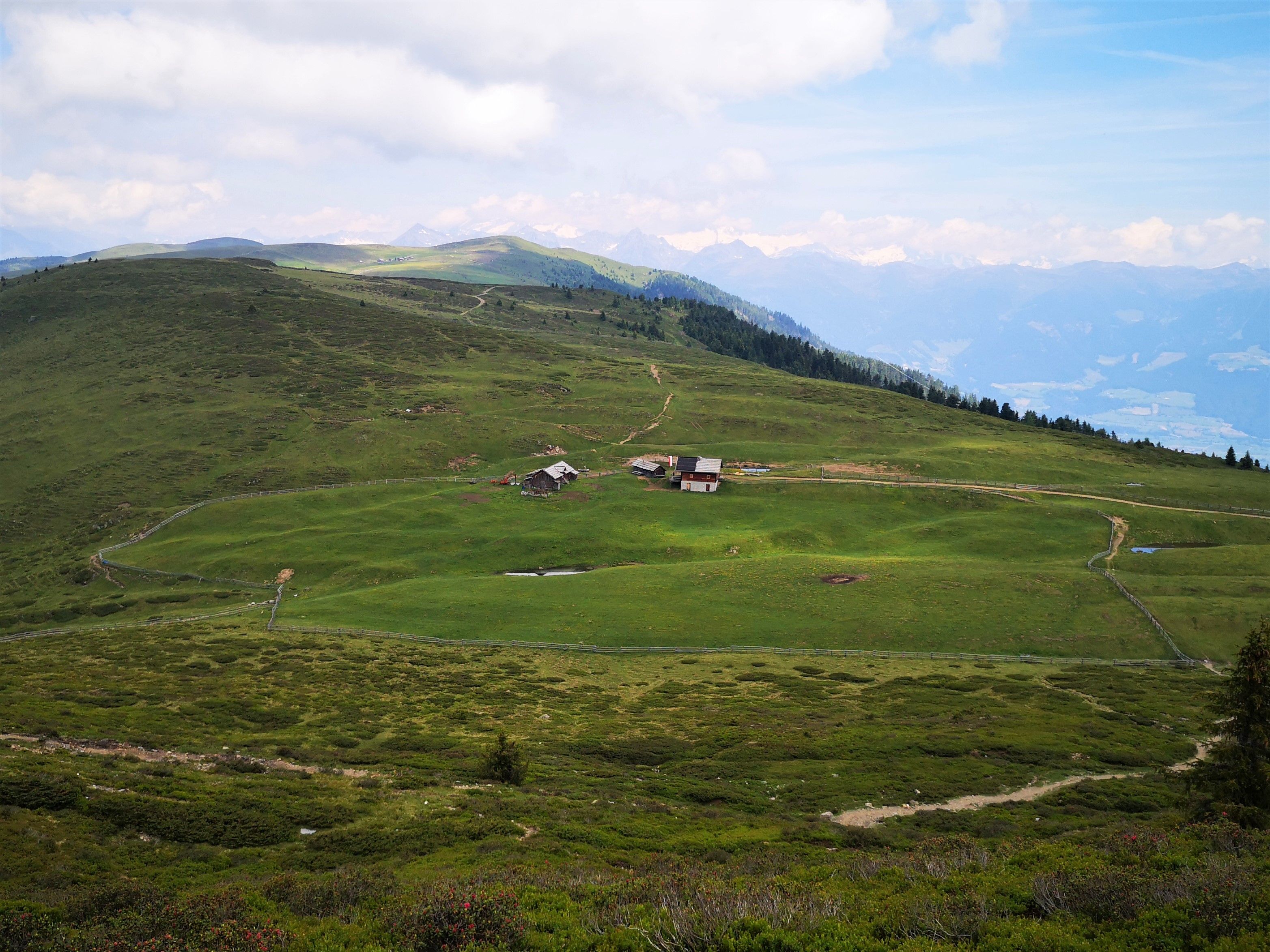 IMG_20210628_Hoch Alm.jpg