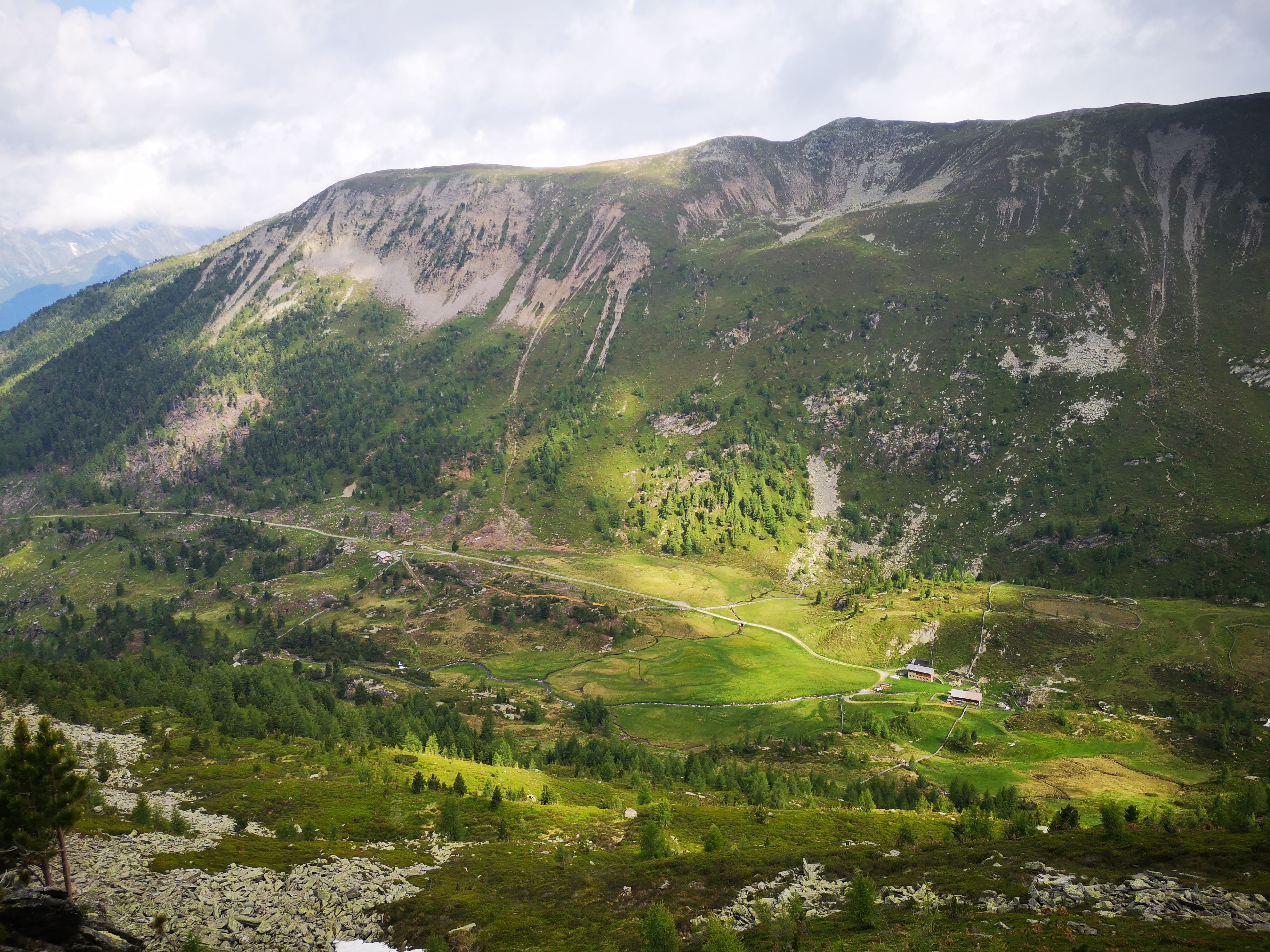 IMG_20210630_Pojer Almen.jpg