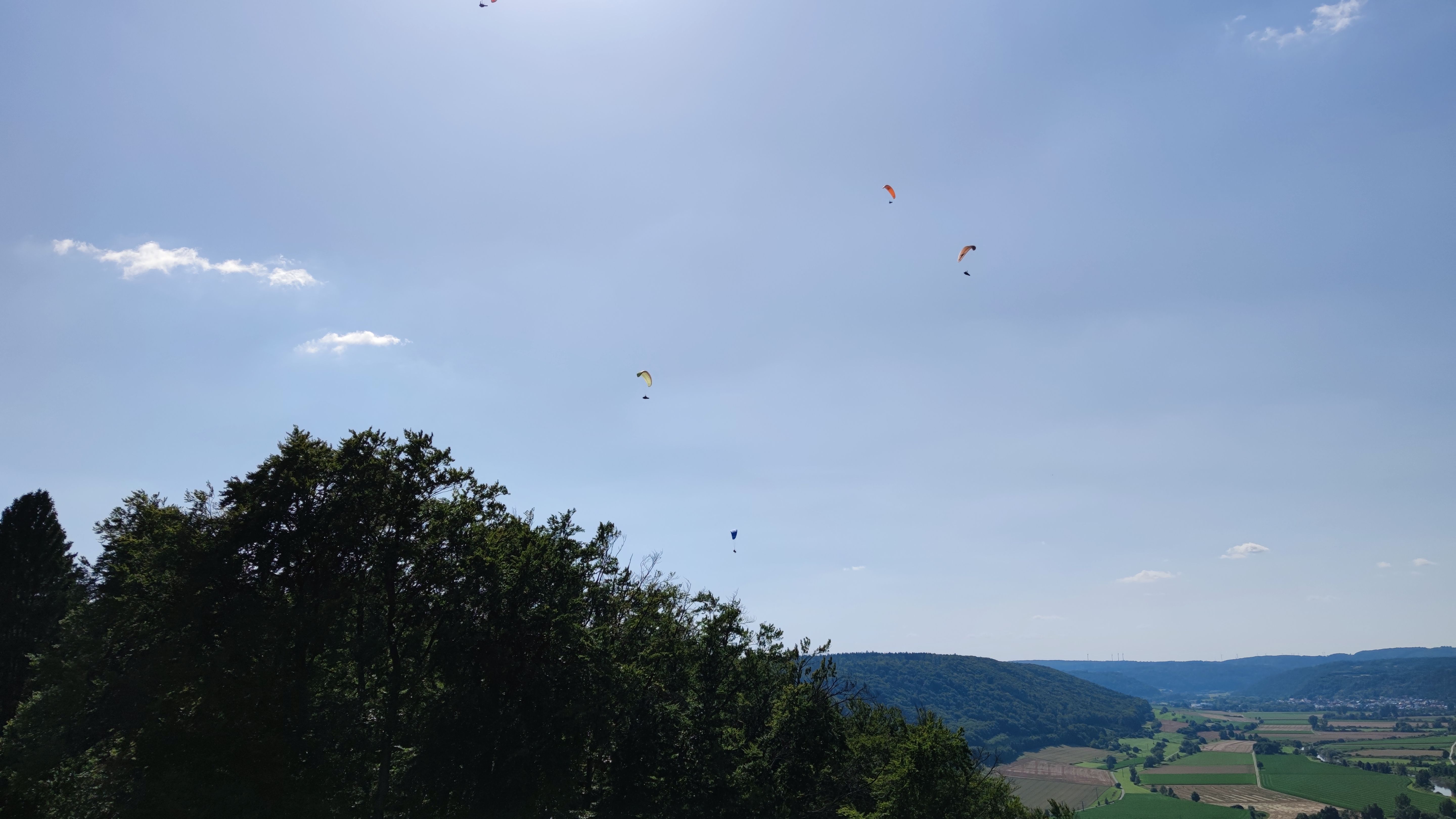IMG_20210718_162905.jpg