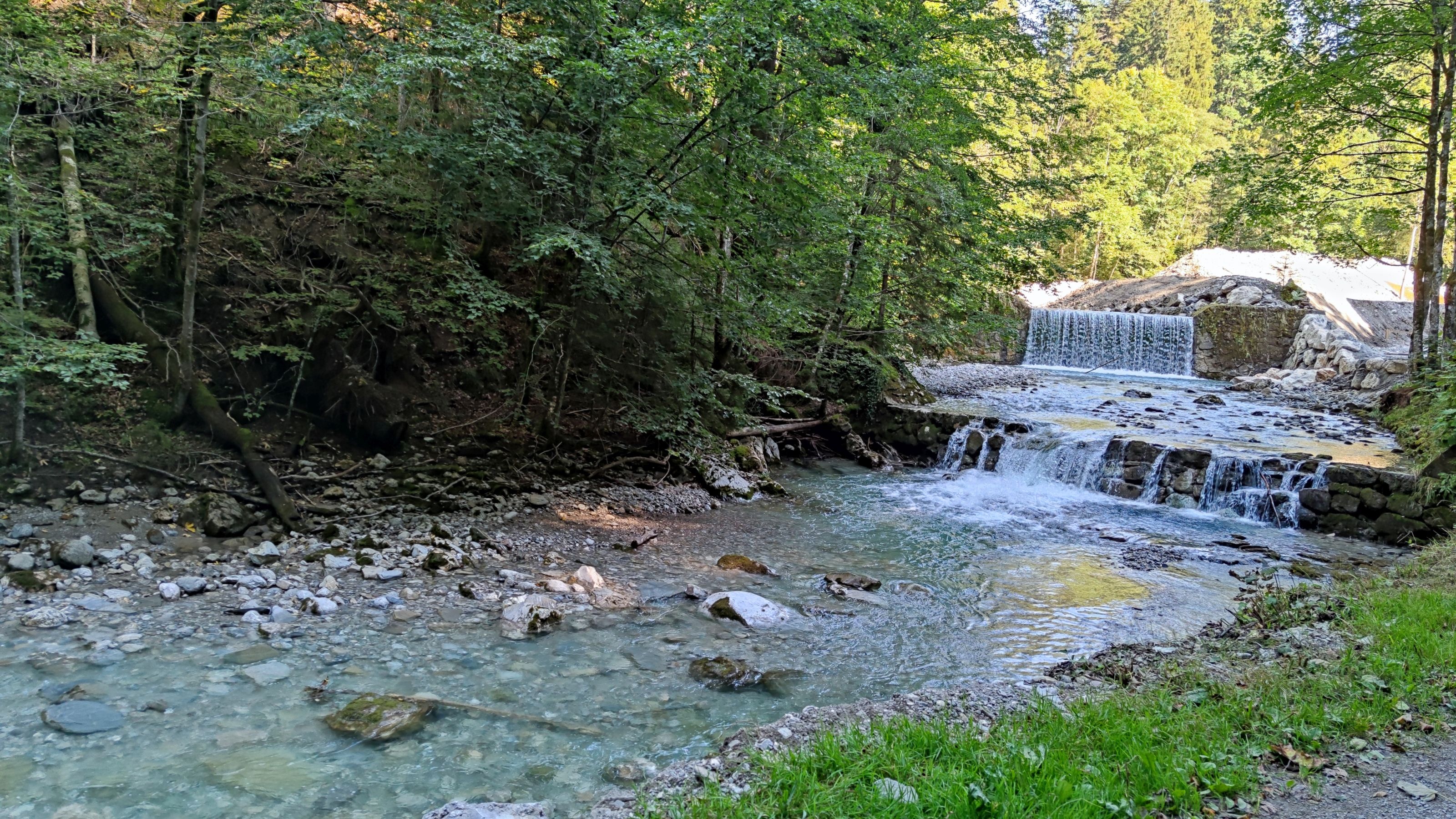 IMG_20210904_153543.jpg