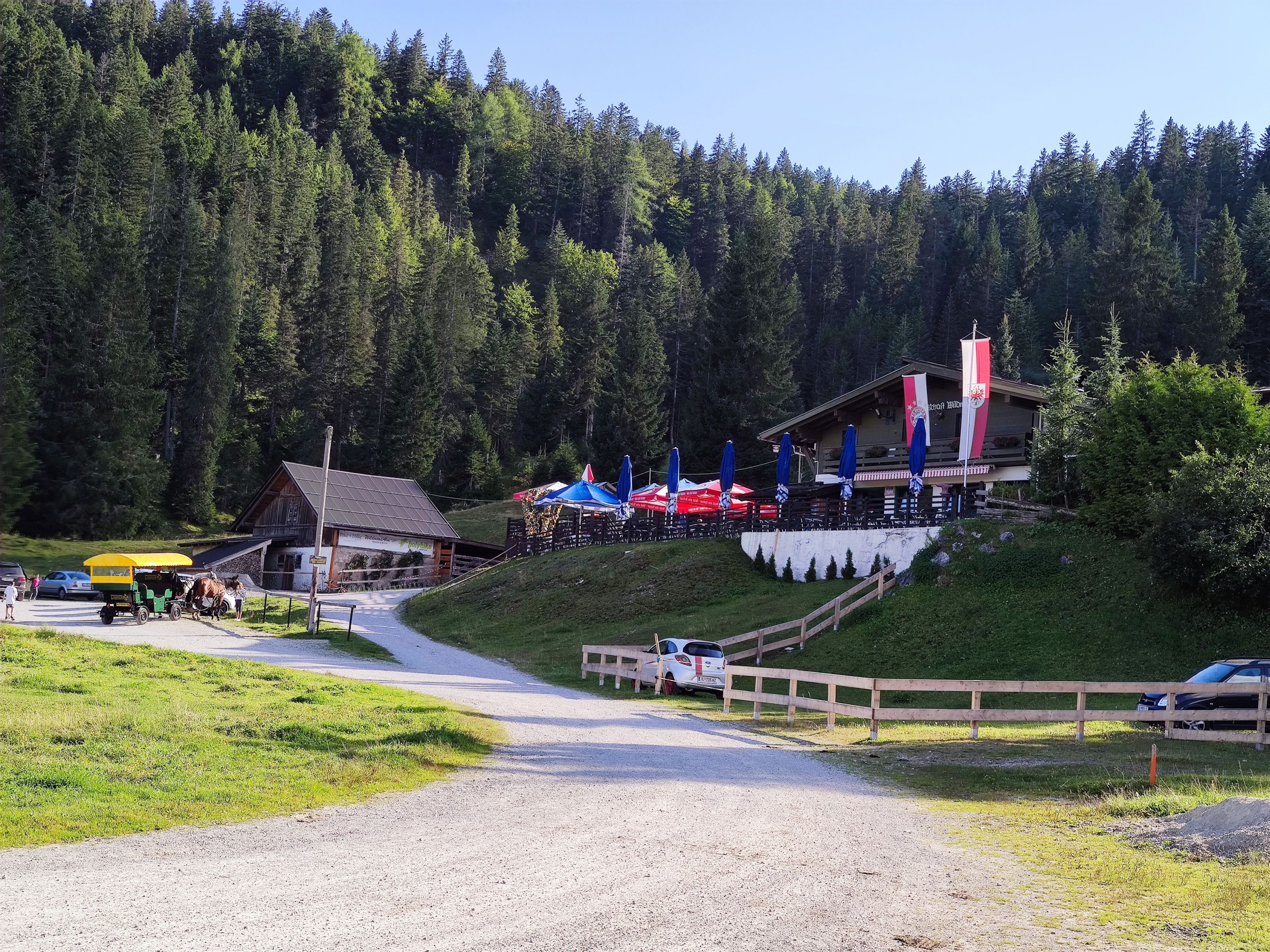 IMG_20210905_170514.jpg
