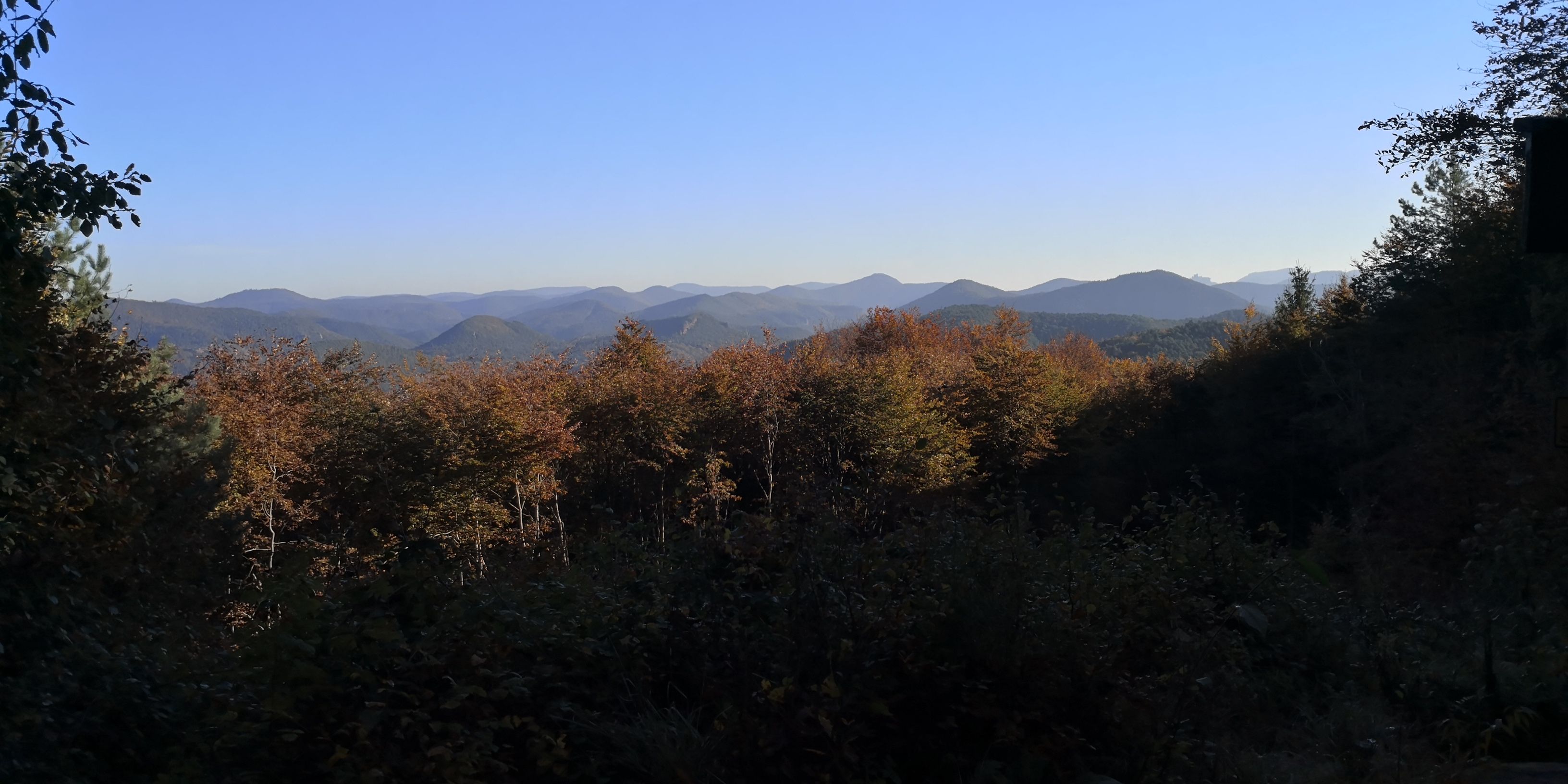 IMG_20211024_101128.jpg