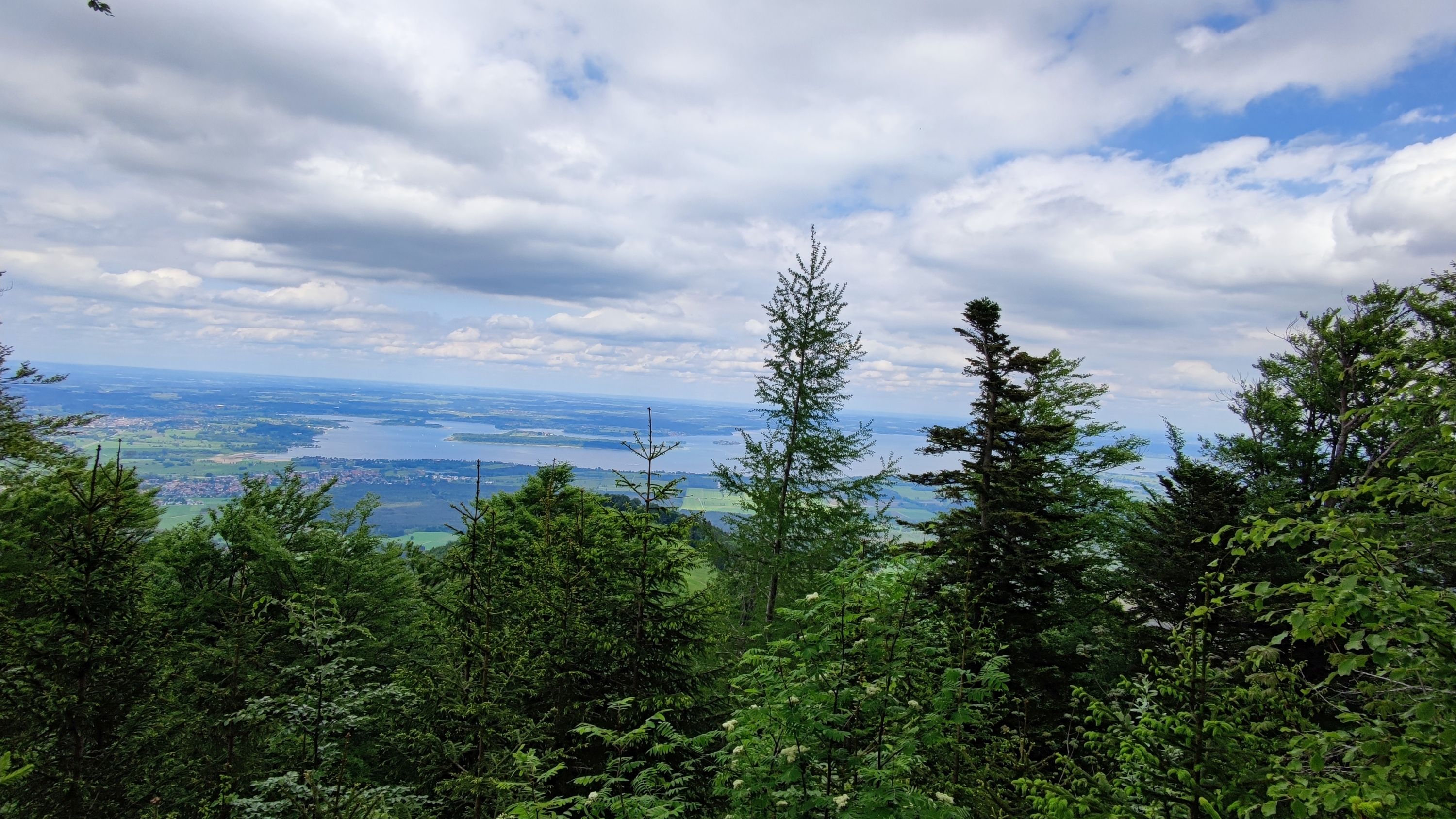 IMG_20220526_130459.jpg