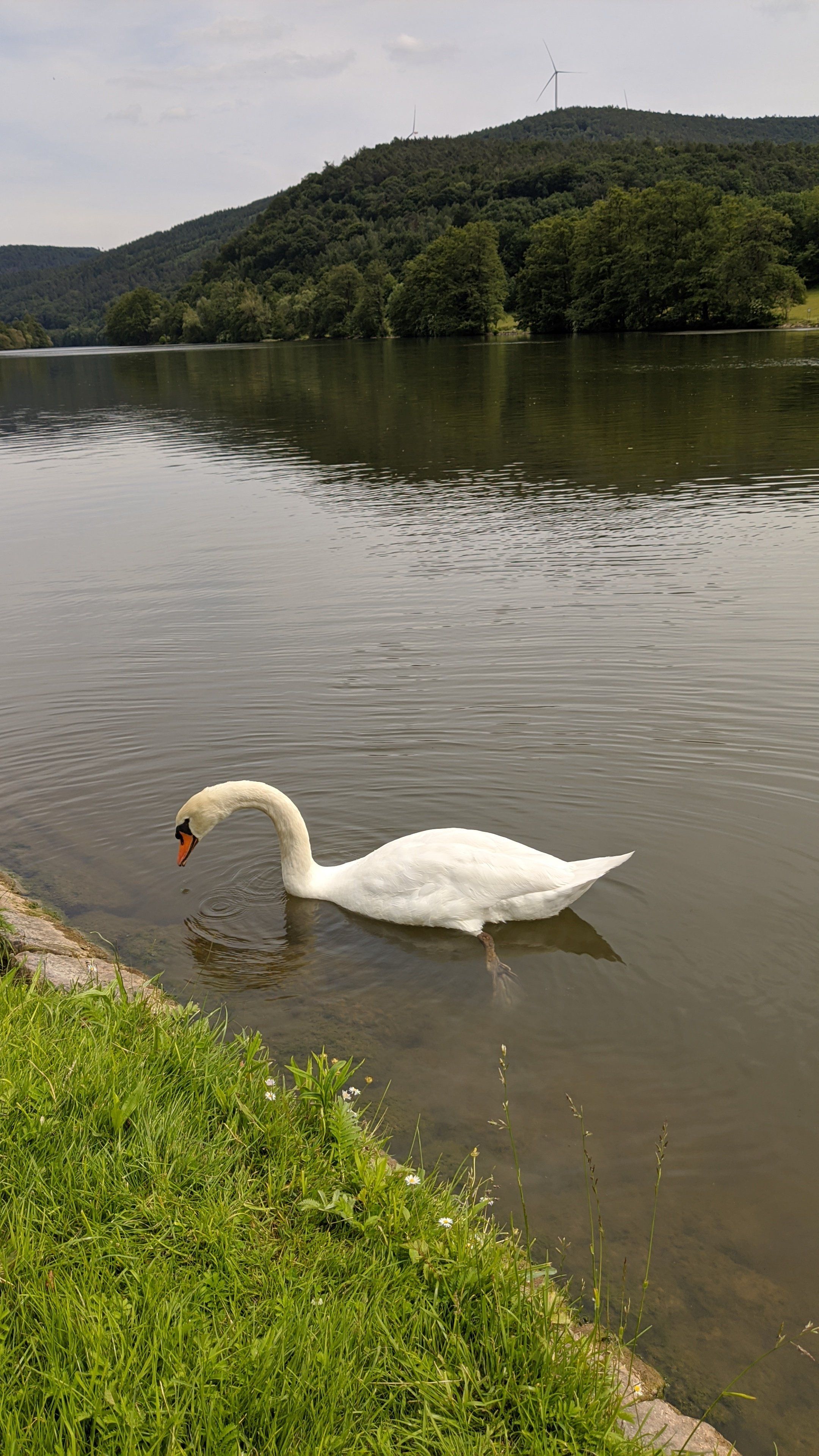 IMG_20220602_141657.jpg