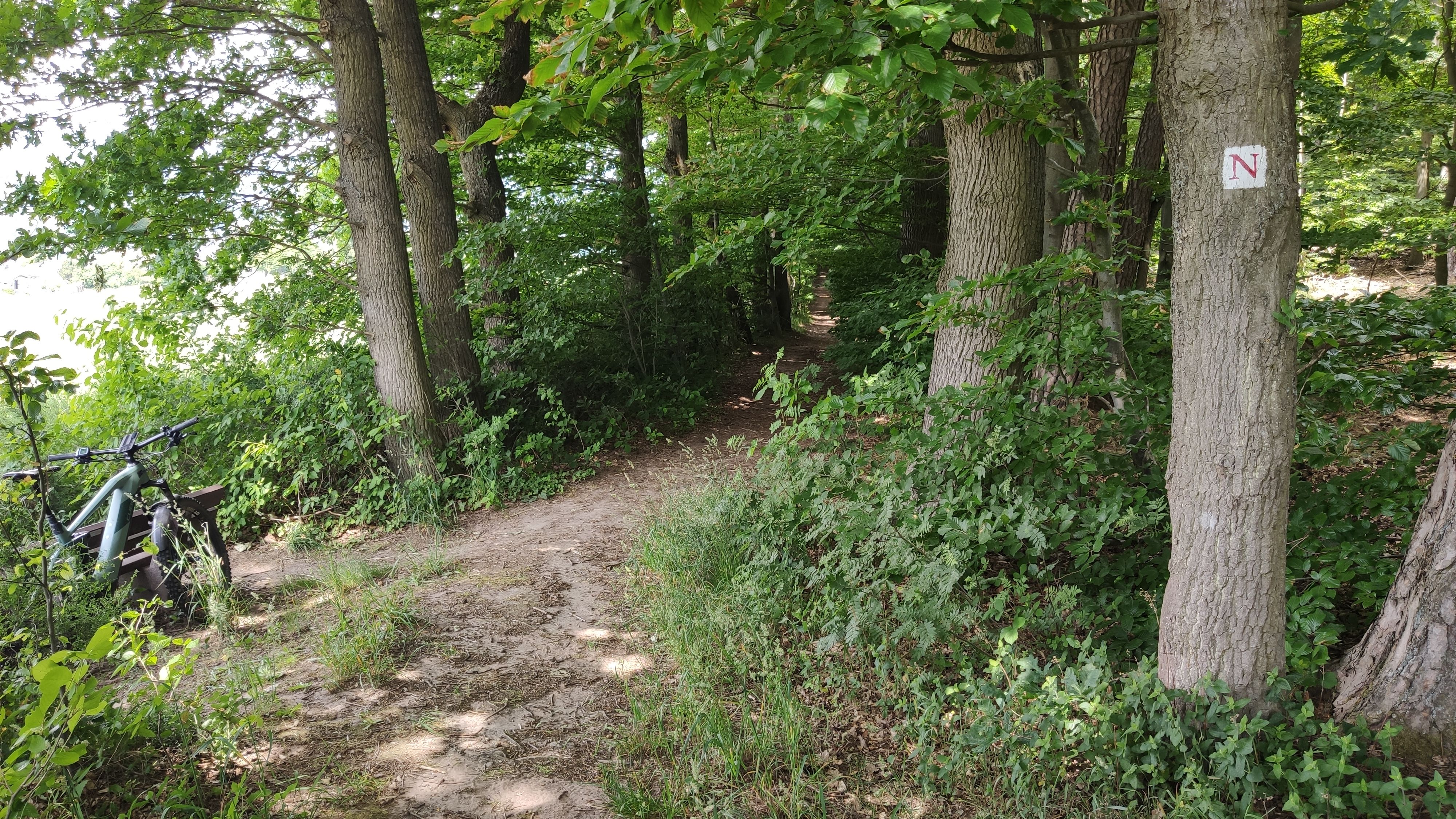 IMG_20220603_124124.jpg