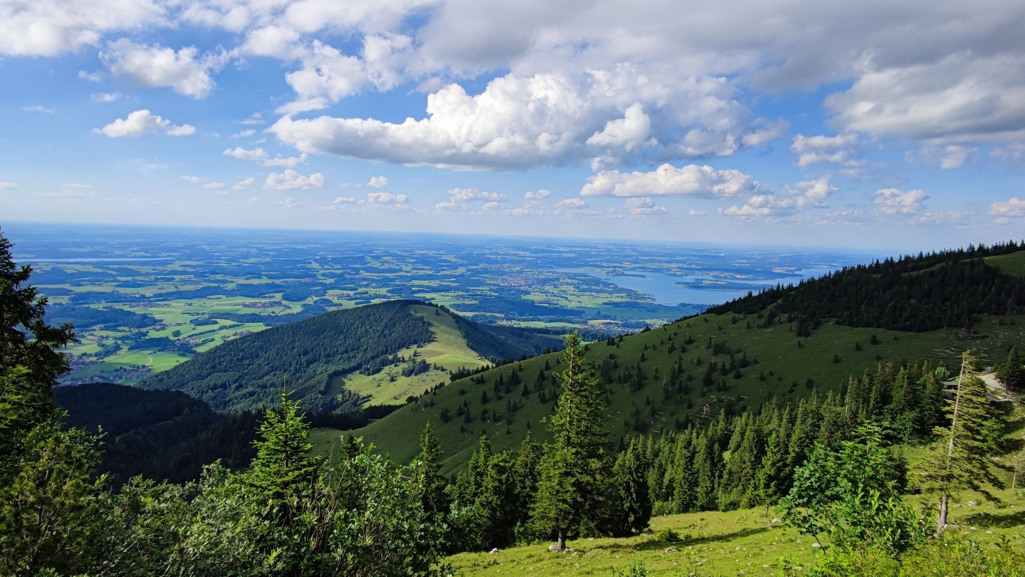 IMG_20220712_172636 (2).jpg