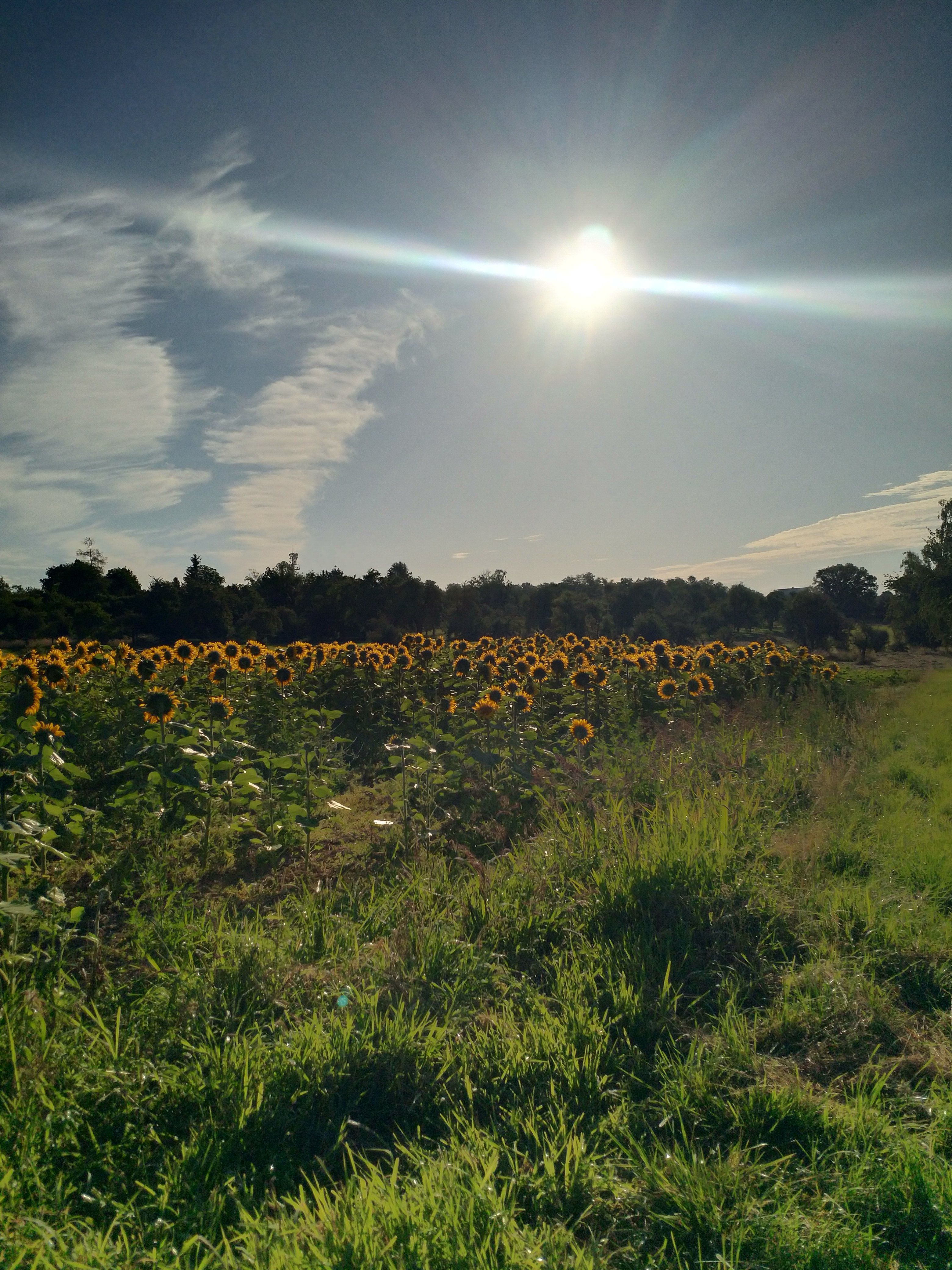 IMG_20220714_074143.jpg